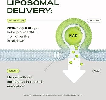 LIPOSOMAL NAD+ ADVANCED NudeFace Chile
