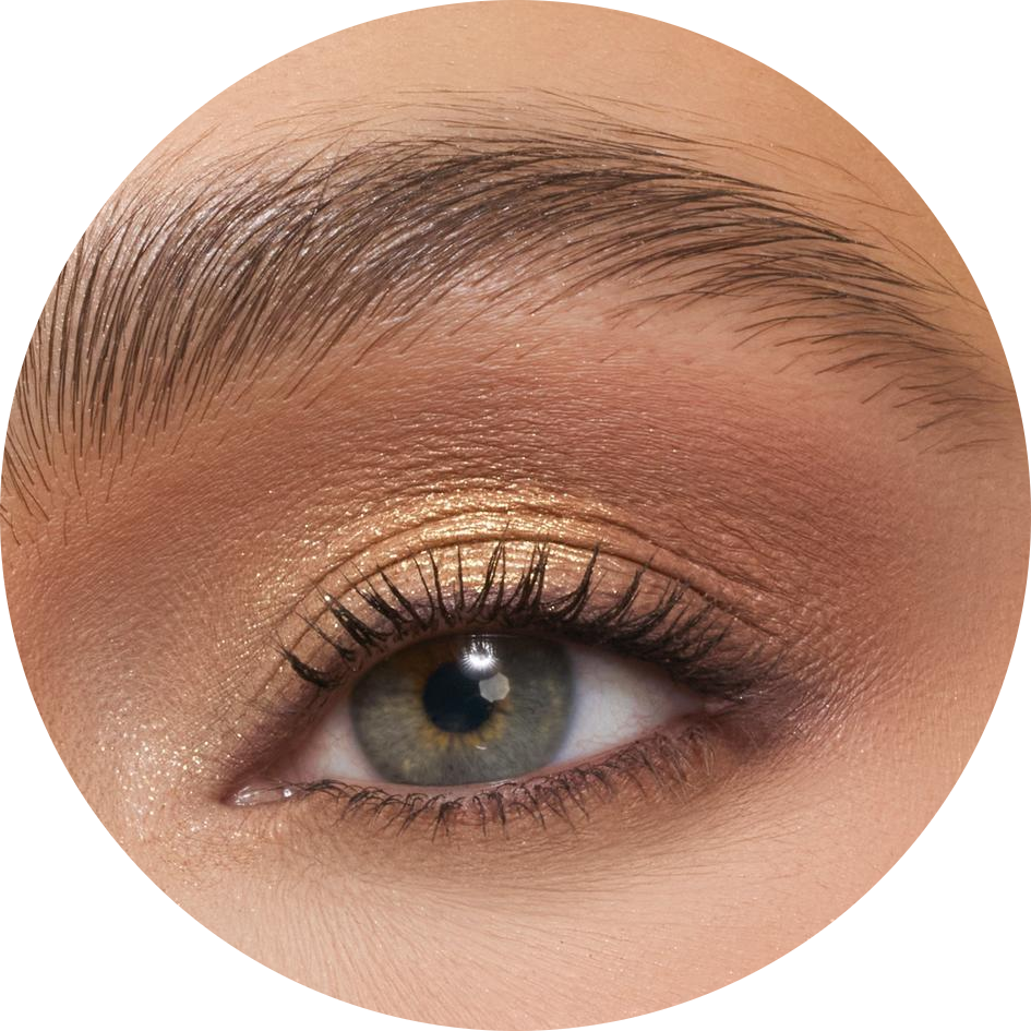 ChromaPlus 12-Pan Eyeshadow Palette