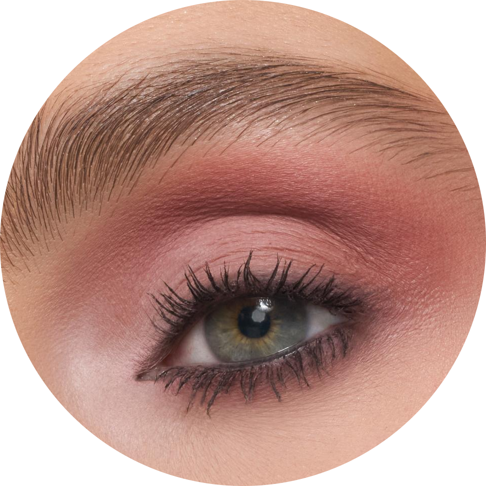 ChromaPlus 12-Pan Eyeshadow Palette