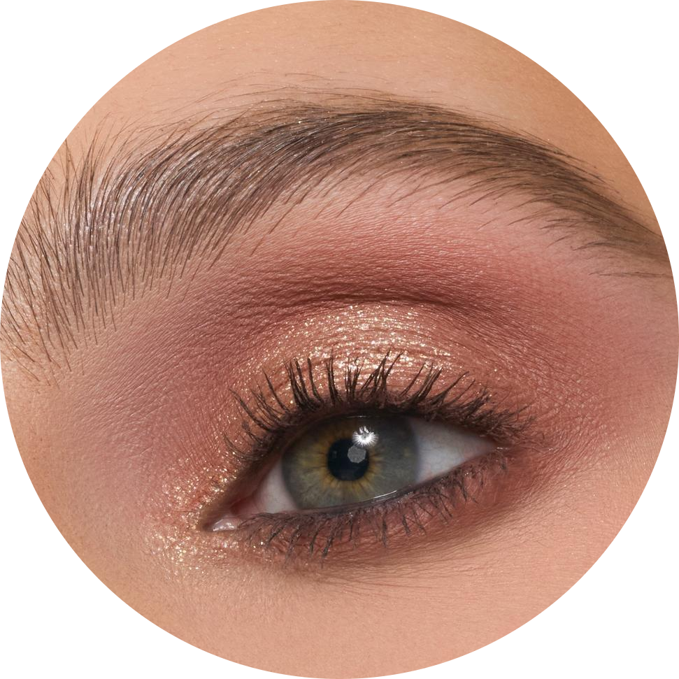 ChromaPlus 6-Pan Eyeshadow Palette