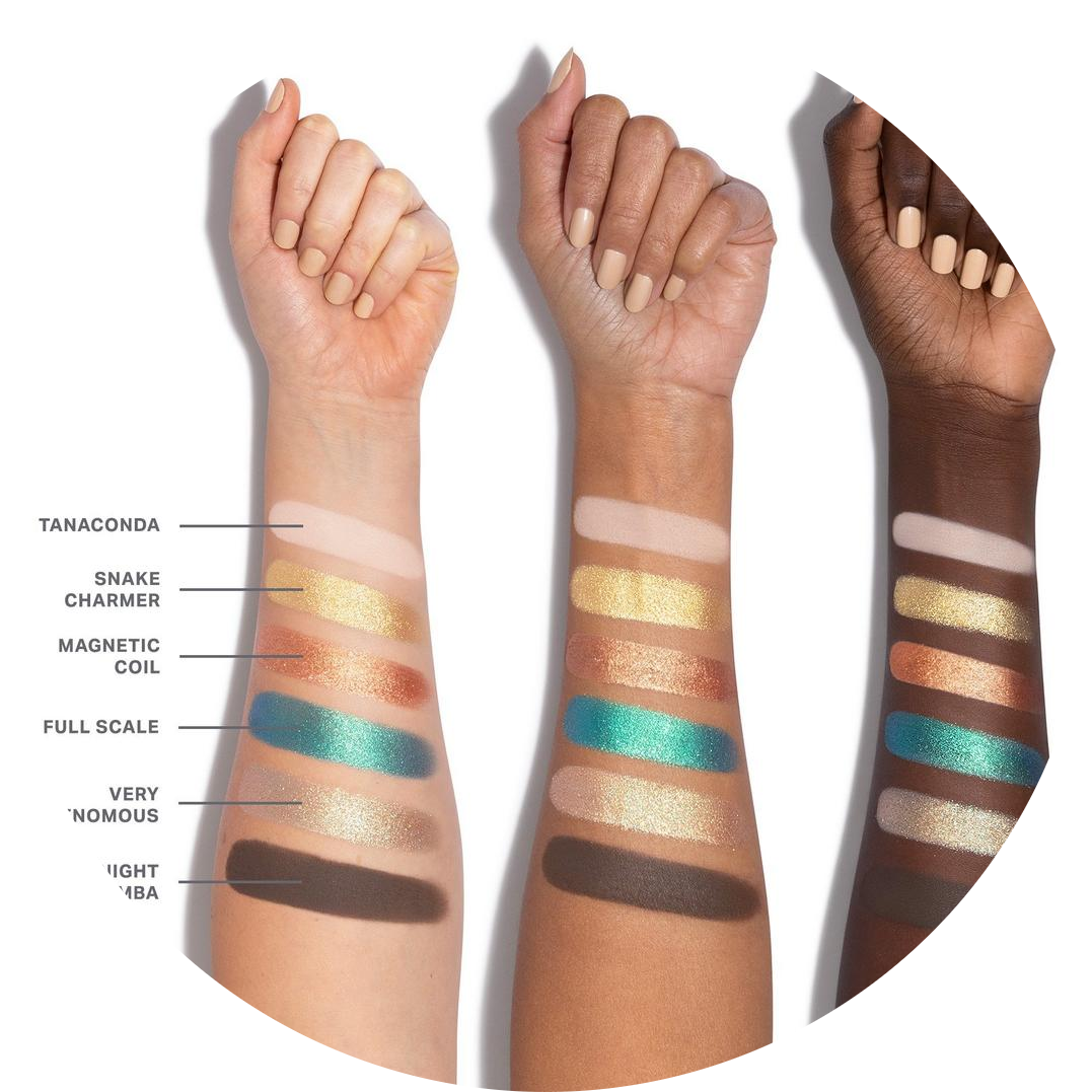 ChromaPlus 6-Pan Eyeshadow Palette