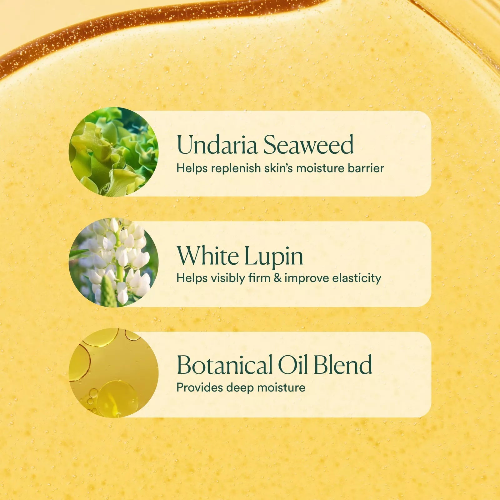 Undaria Algae Body Oil Mini NudeFace Chile