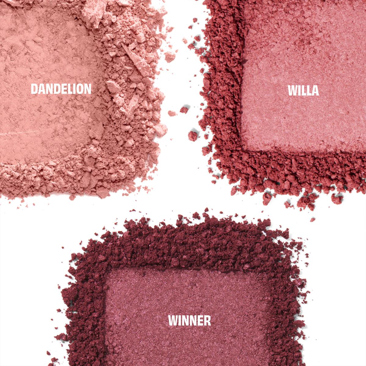 Cheekscore Blush Trio Palette