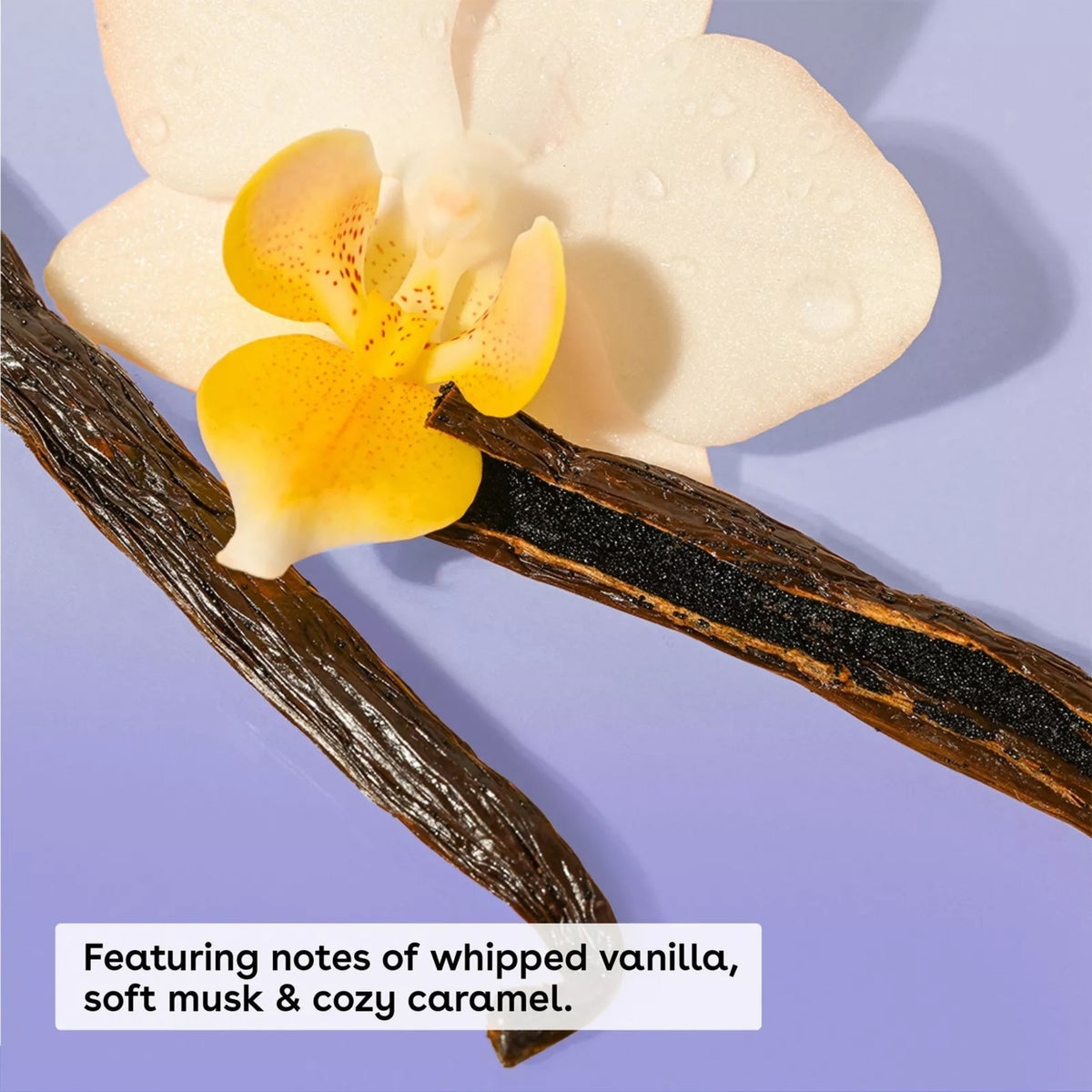 Cashmere Body Oil NudeFace Chile
