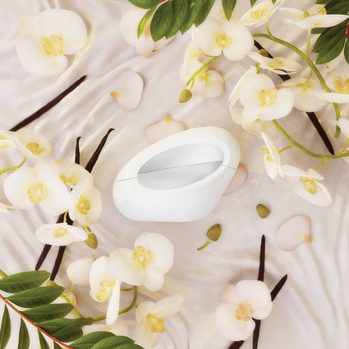 Ariana Grande Coffret Holiday 25