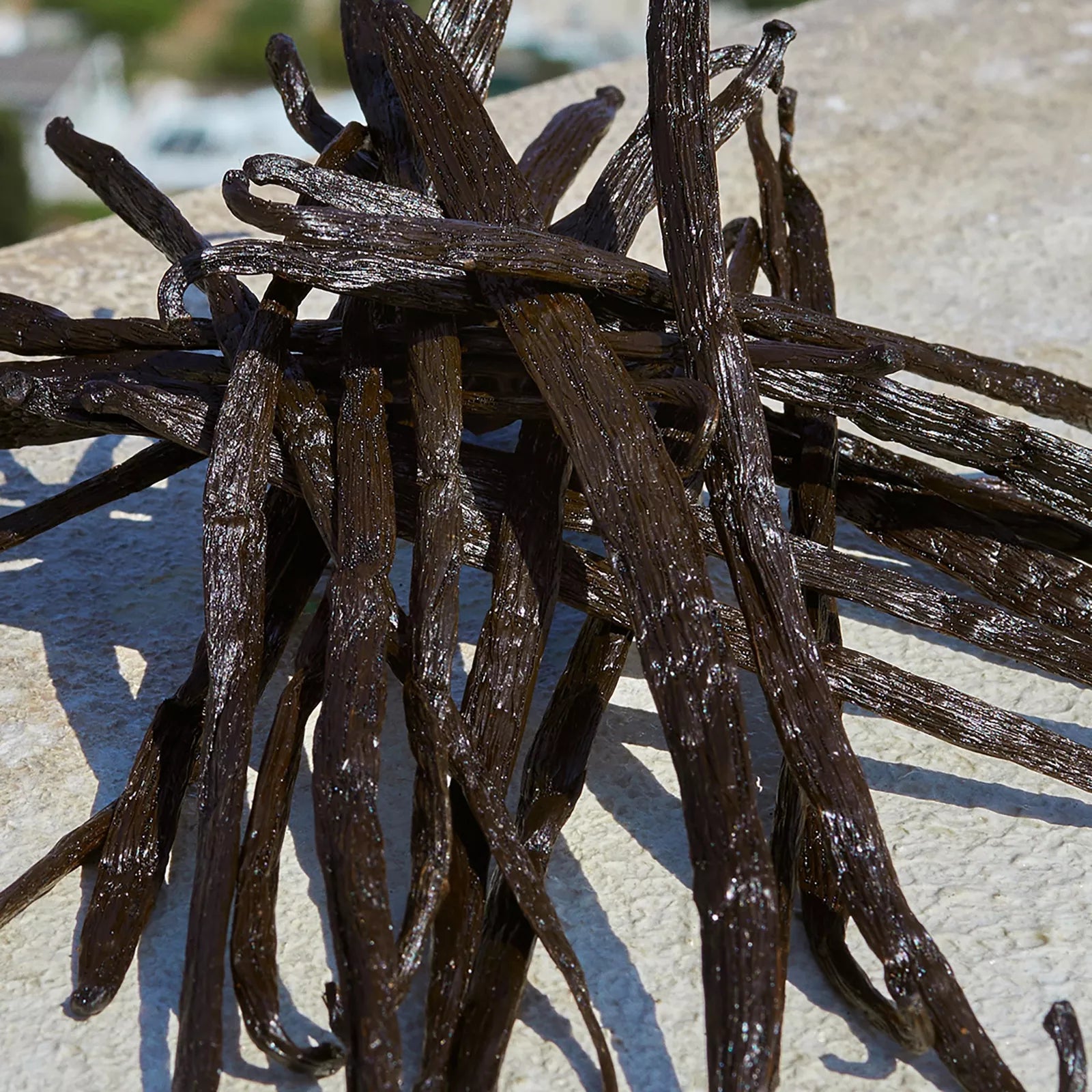 Devotion Eau de Parfum Heart