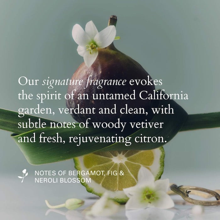 Foundation Hydrating & Reparative Hair Mask