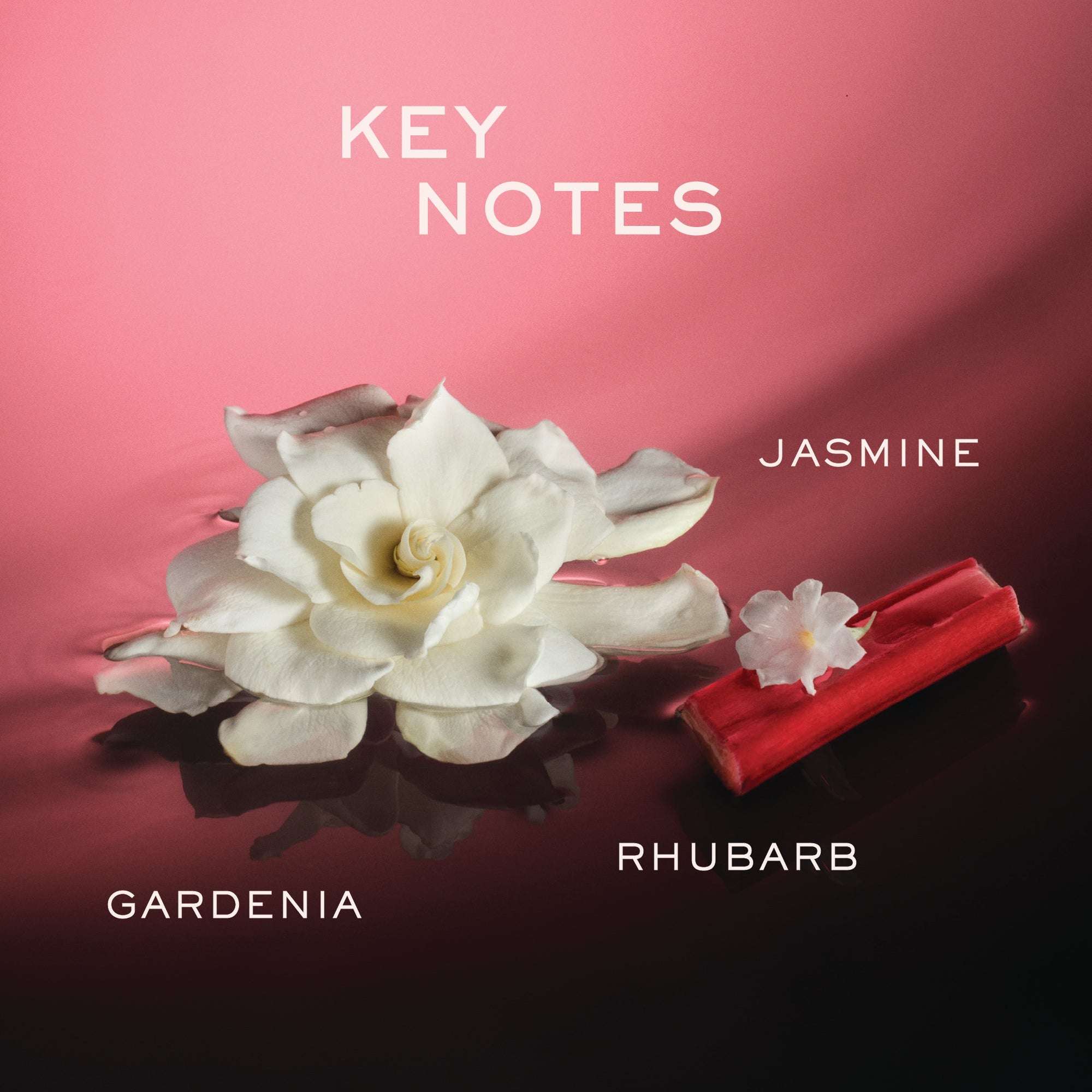Gardenia's Whisper NudeFace Chile