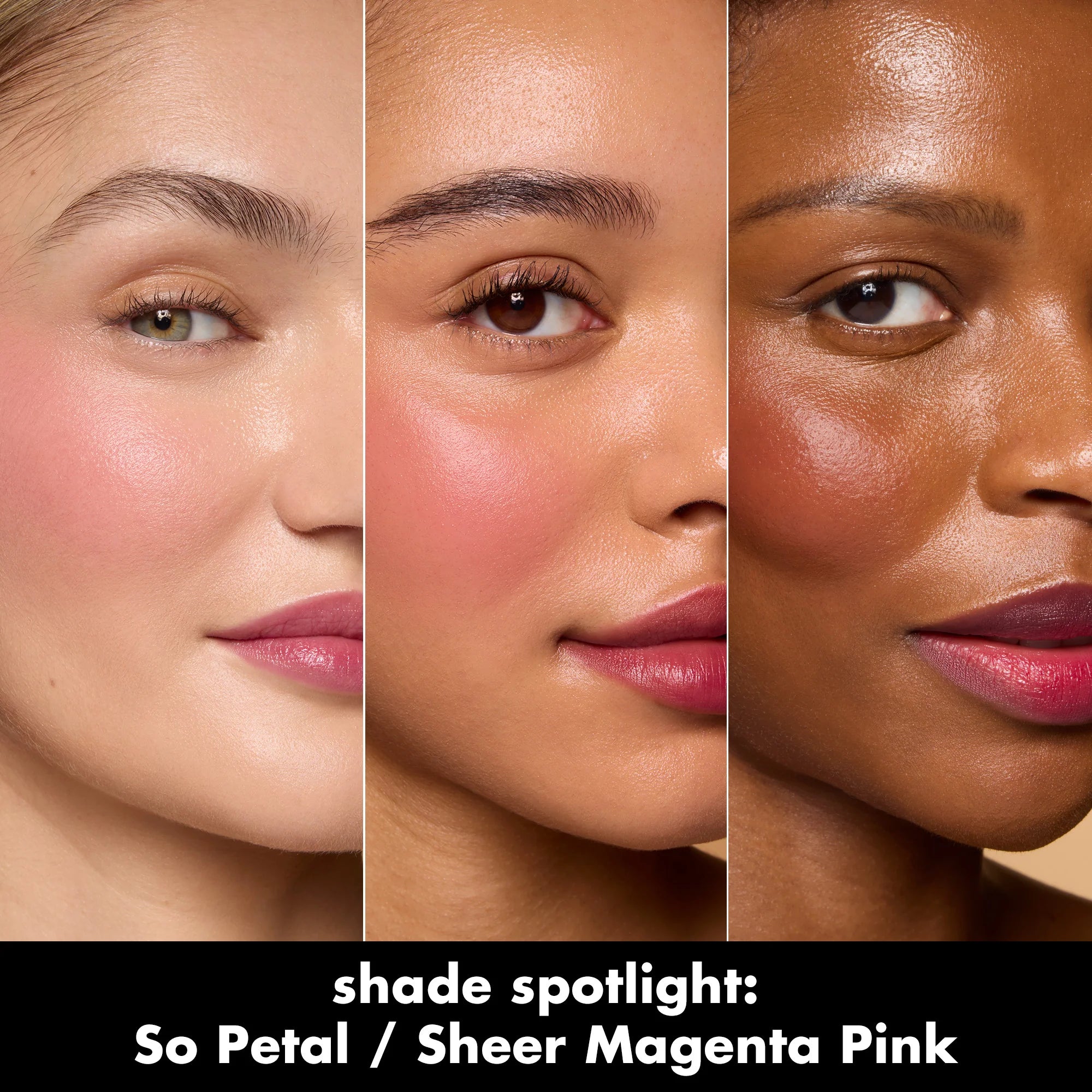 Sheer For It Blush Tint NudeFace Chile