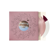 THE DIVINE FEMININE 10TH ANNIVERSARY DELUXE VINYL NudeFace Chile