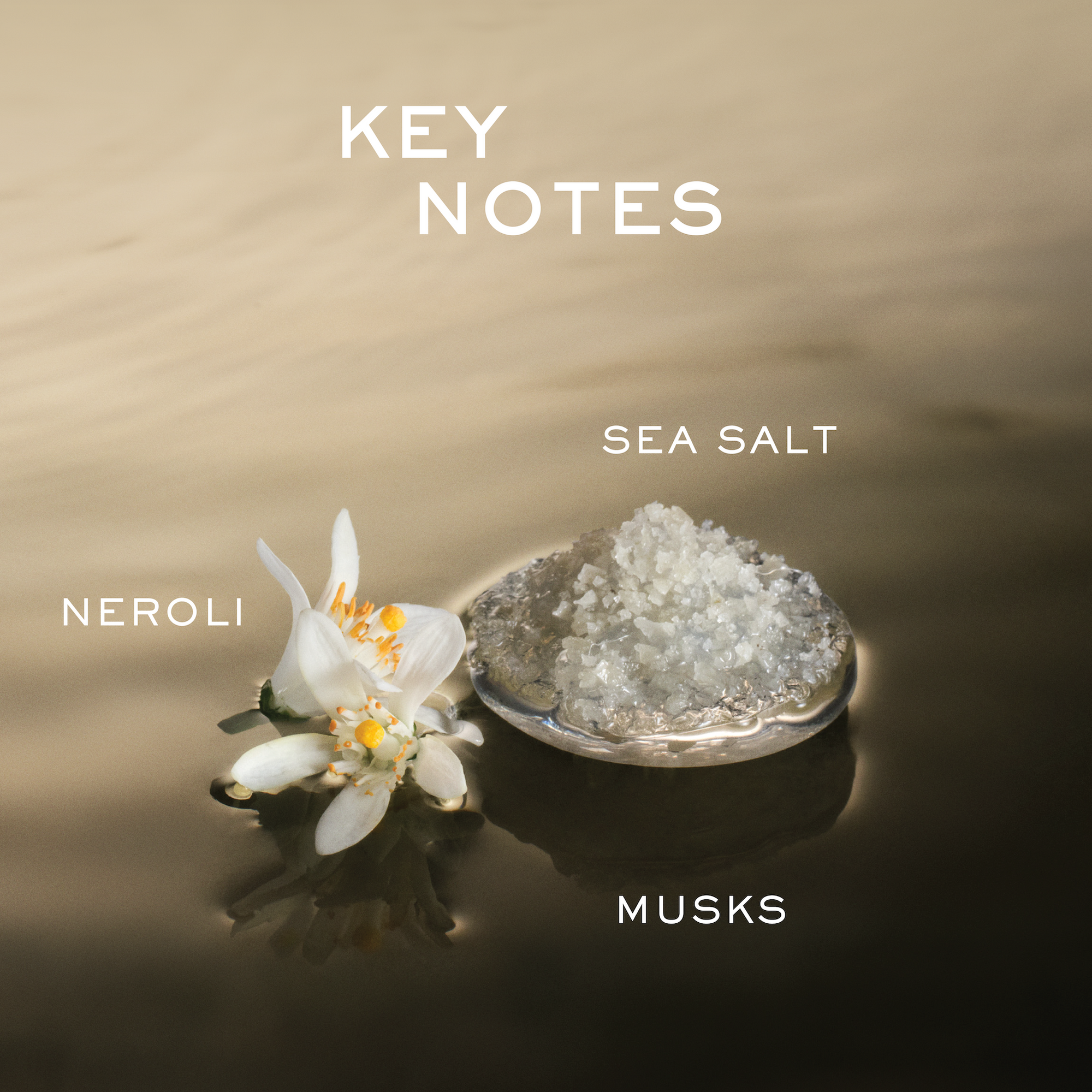 Neroli's Halo NudeFace Chile