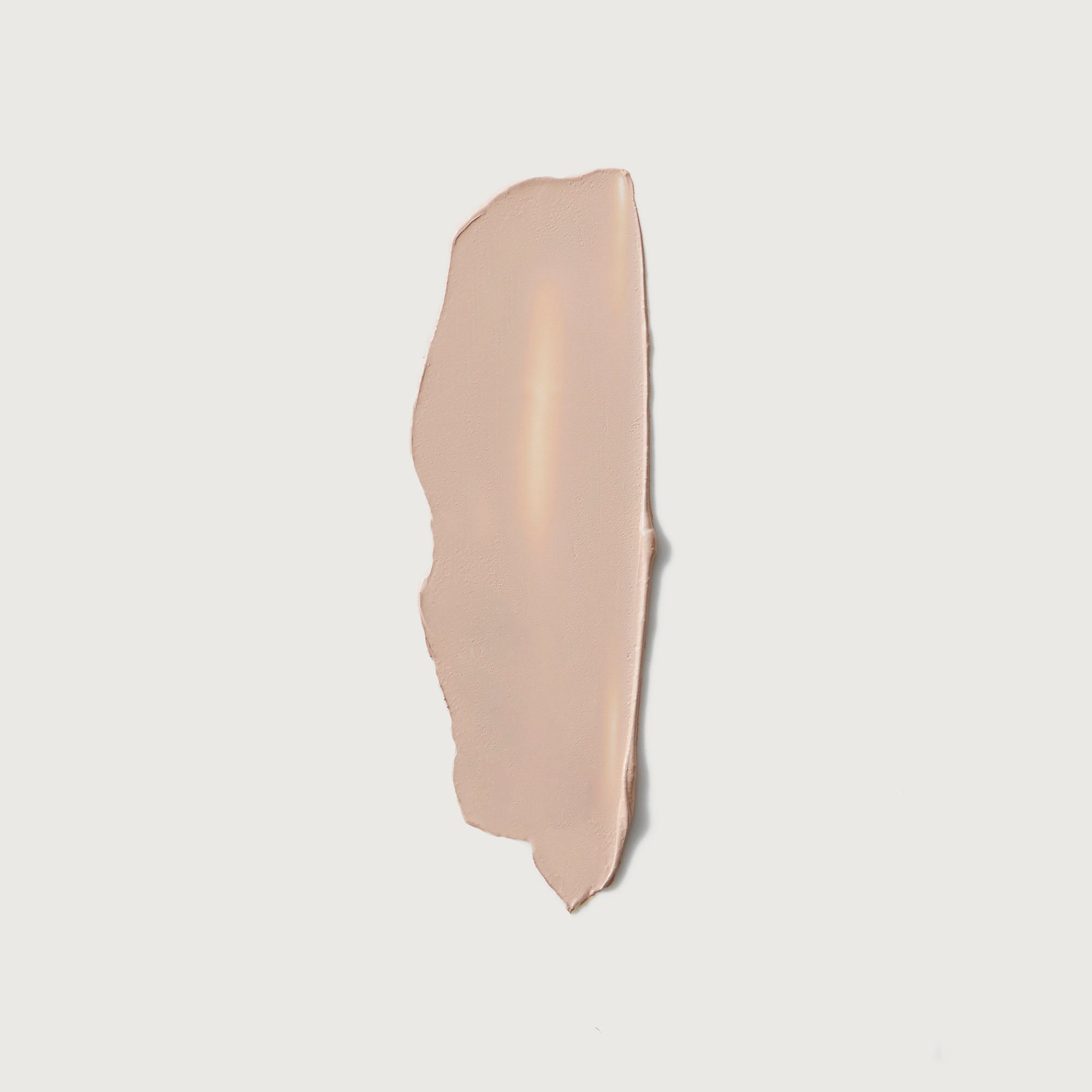 The Minimalist Perfecting Complexion Foundation and Concealer Stick NudeFace Chile