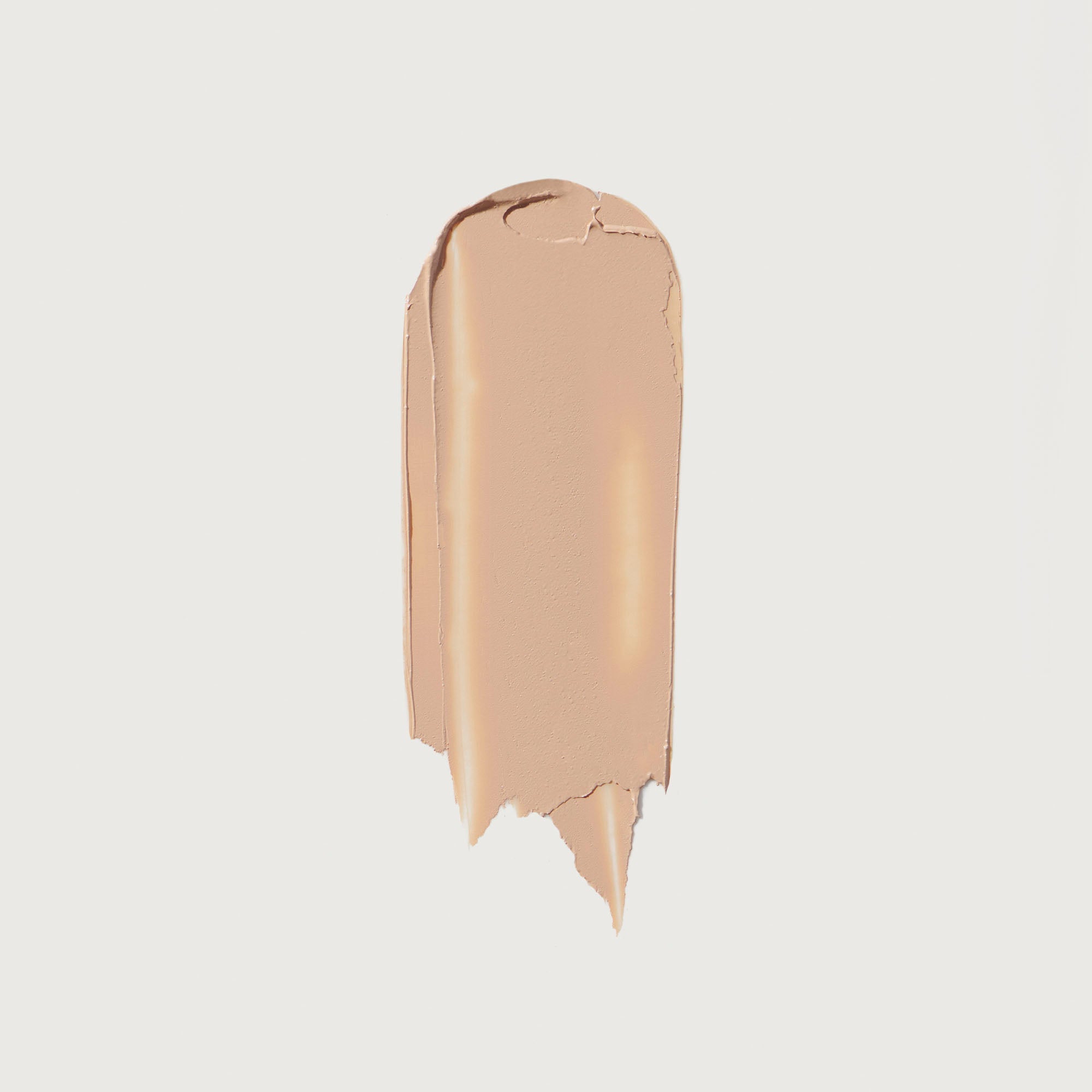 The Minimalist Perfecting Complexion Foundation and Concealer Stick NudeFace Chile