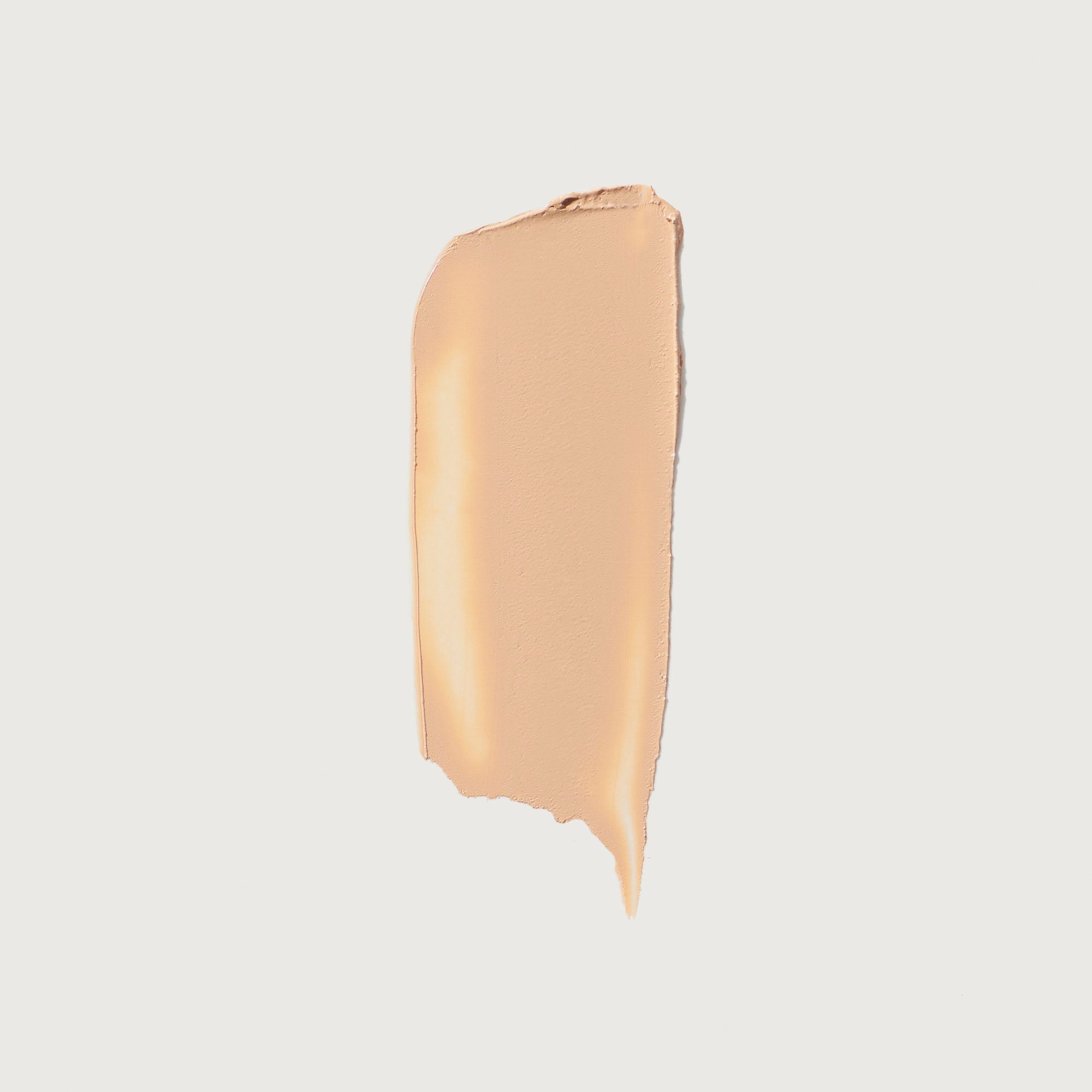 The Minimalist Perfecting Complexion Foundation and Concealer Stick NudeFace Chile