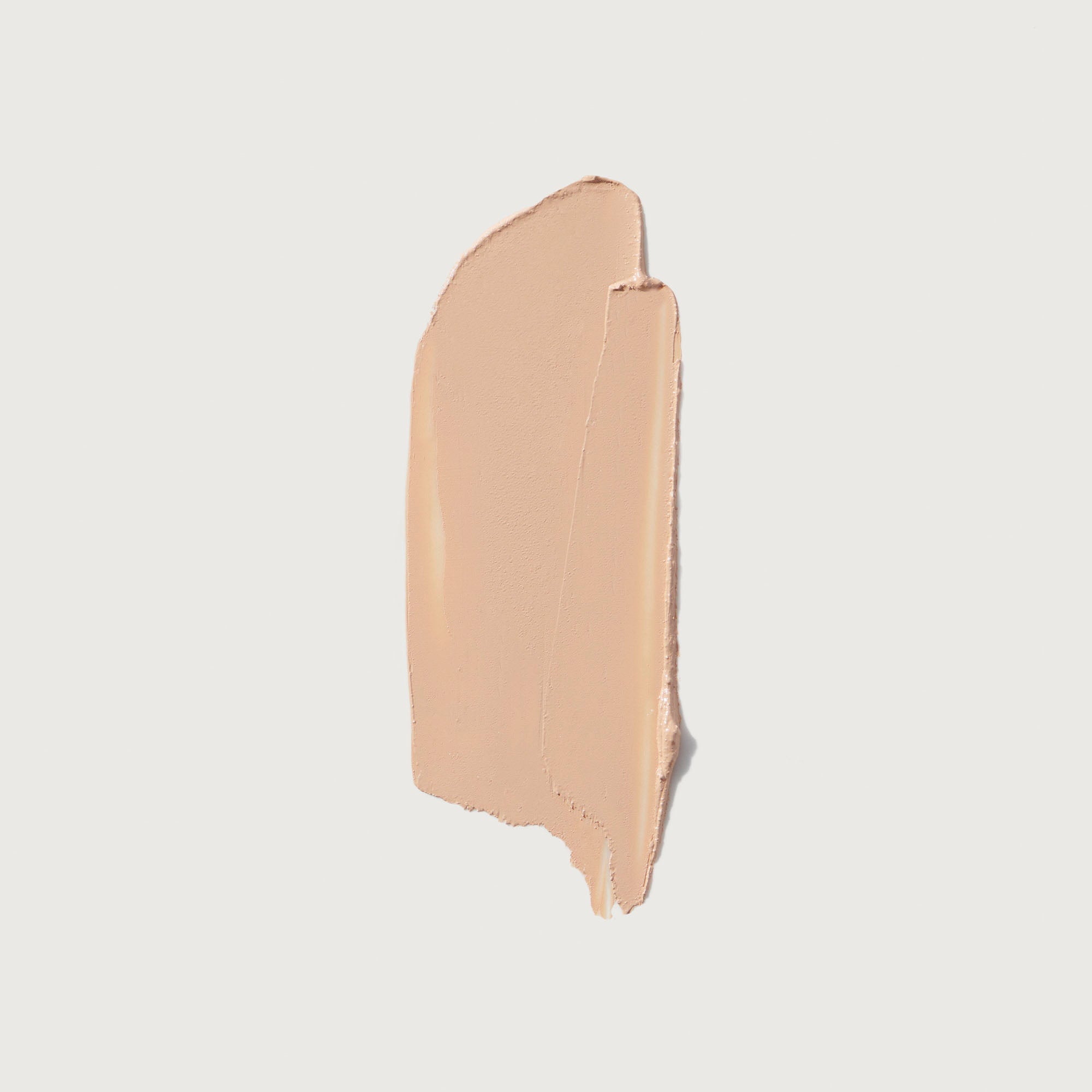 The Minimalist Perfecting Complexion Foundation and Concealer Stick NudeFace Chile