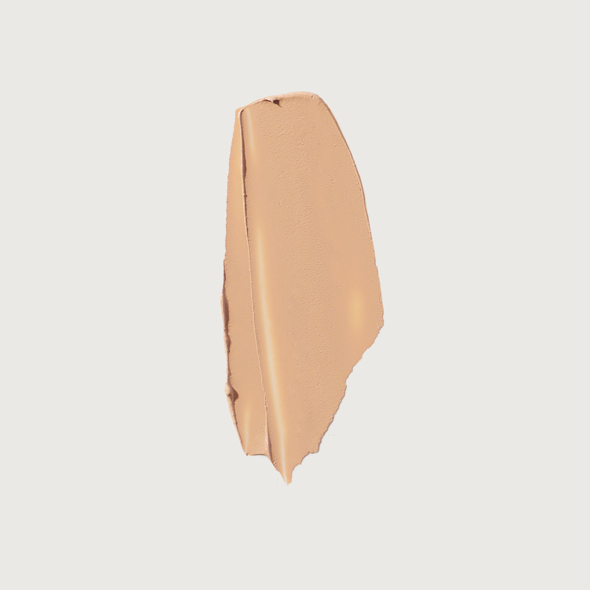 The Minimalist Perfecting Complexion Foundation and Concealer Stick NudeFace Chile