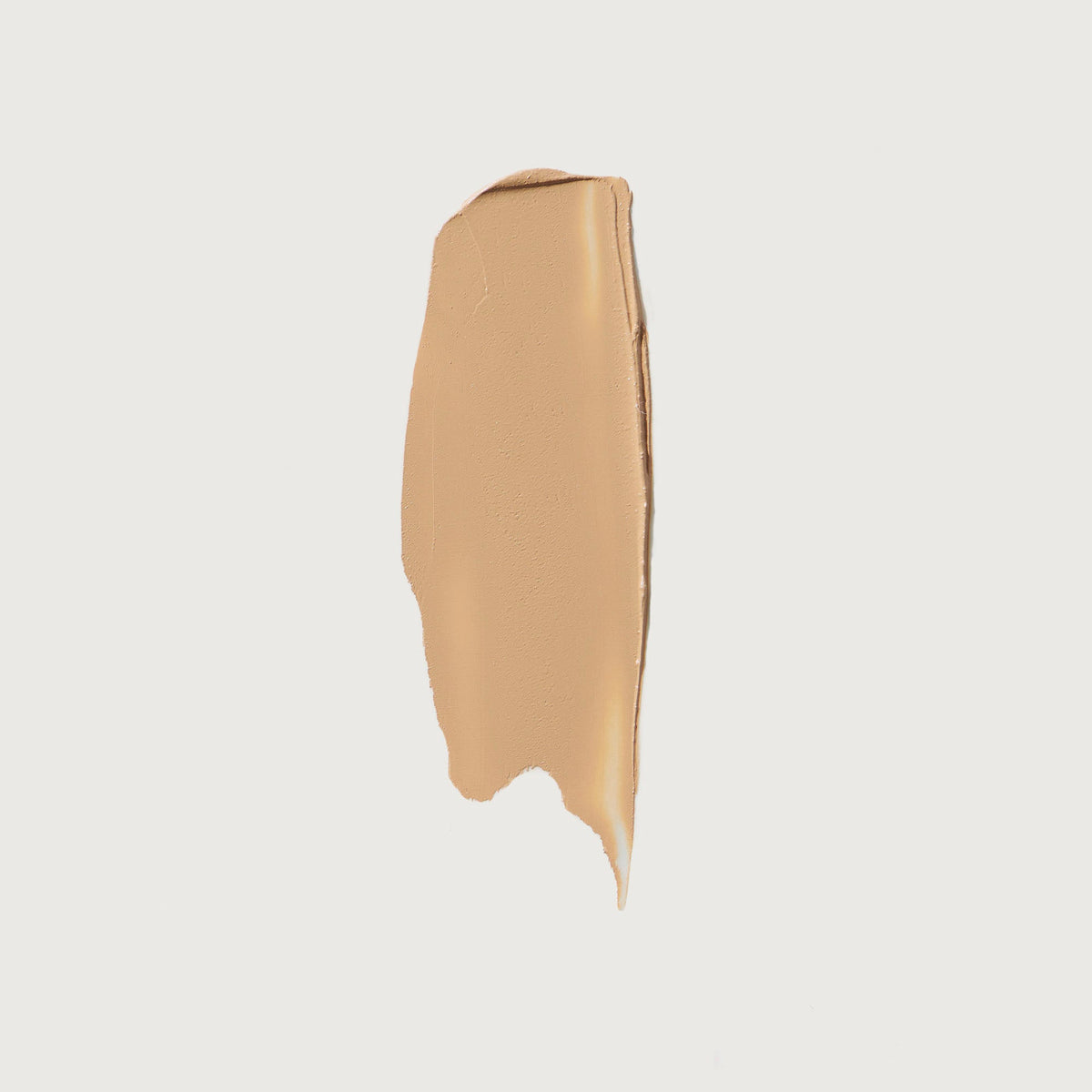 The Minimalist Perfecting Complexion Foundation and Concealer Stick NudeFace Chile