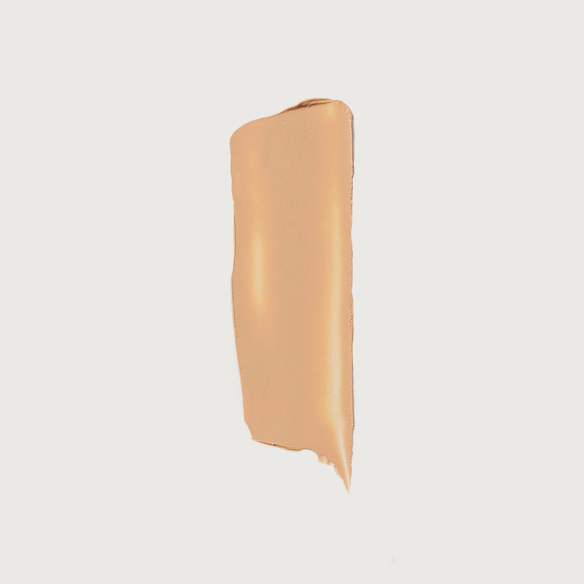 The Minimalist Perfecting Complexion Foundation and Concealer Stick NudeFace Chile
