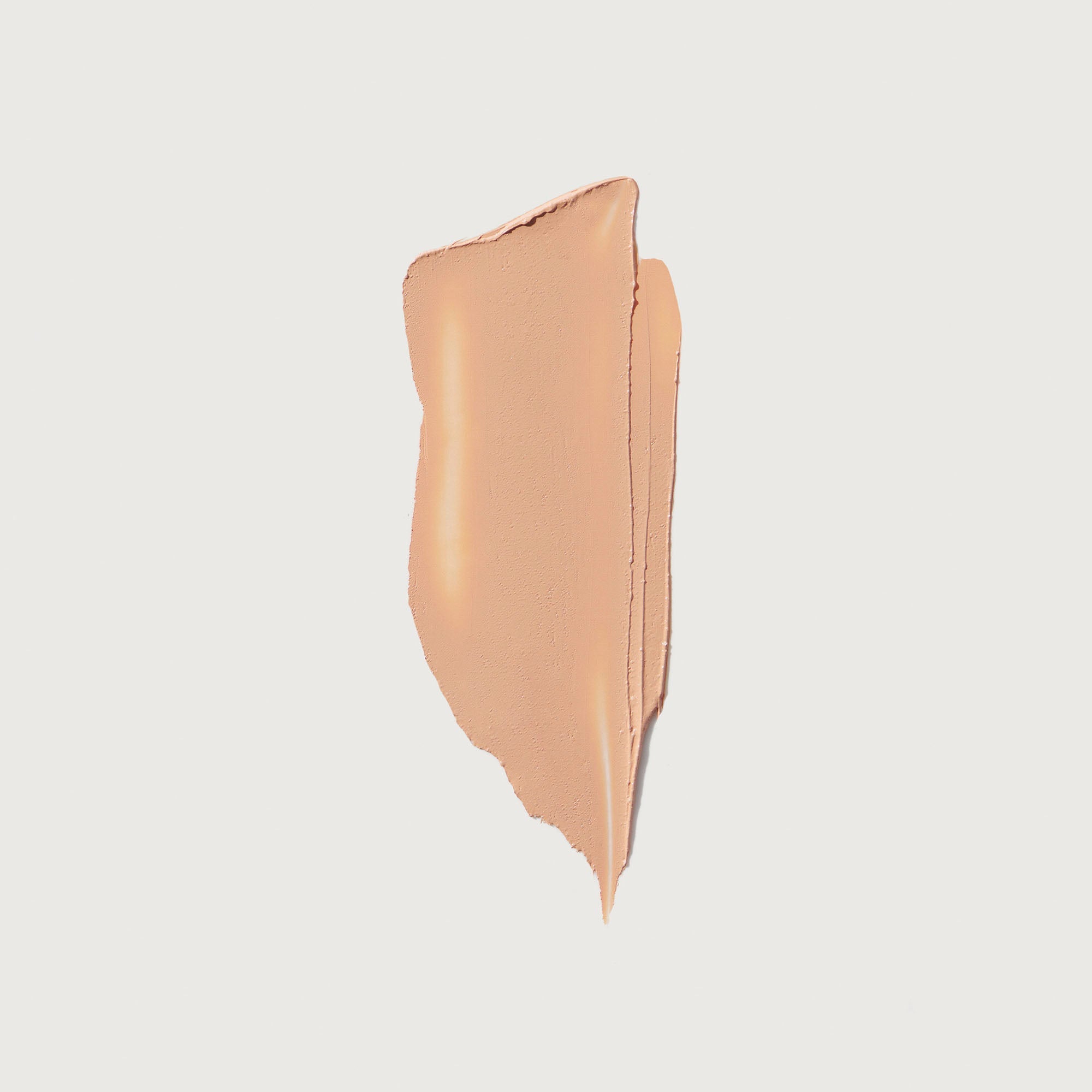 The Minimalist Perfecting Complexion Foundation and Concealer Stick NudeFace Chile