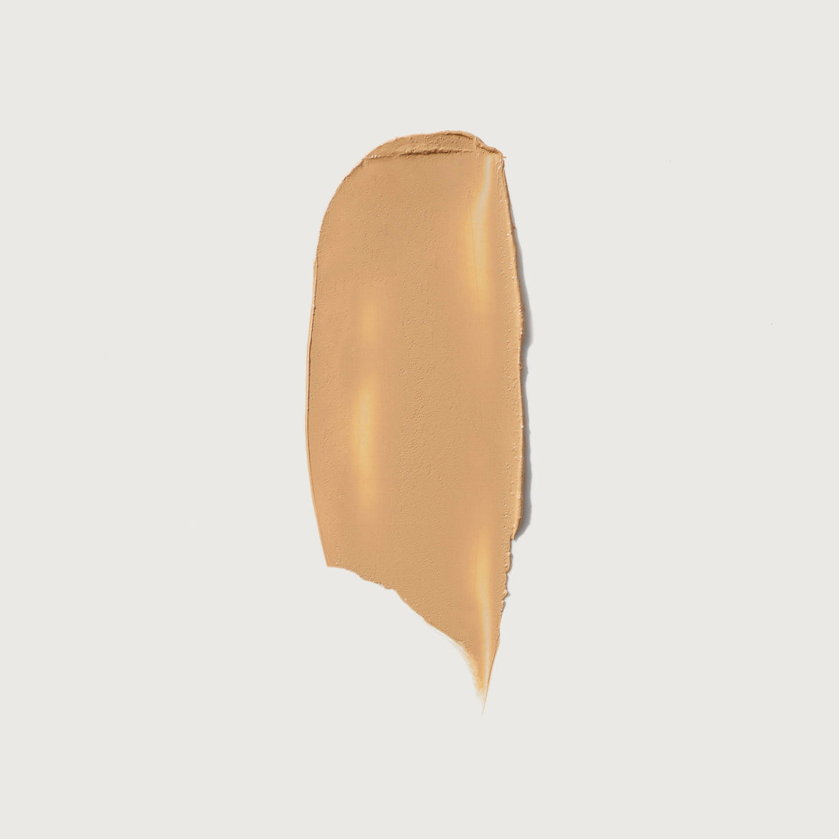 The Minimalist Perfecting Complexion Foundation and Concealer Stick NudeFace Chile