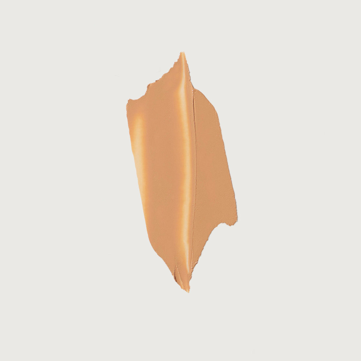 The Minimalist Perfecting Complexion Foundation and Concealer Stick NudeFace Chile