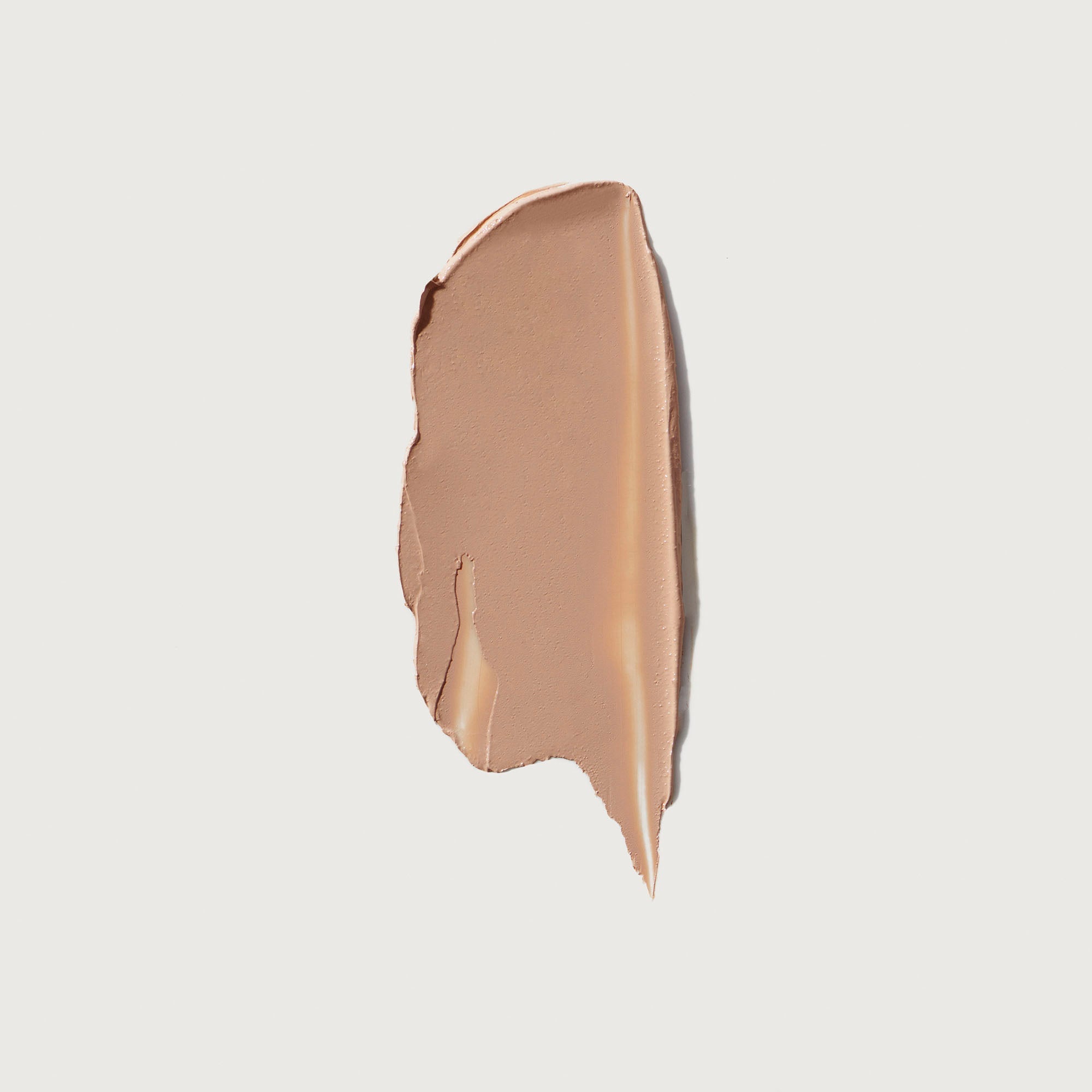 The Minimalist Perfecting Complexion Foundation and Concealer Stick NudeFace Chile