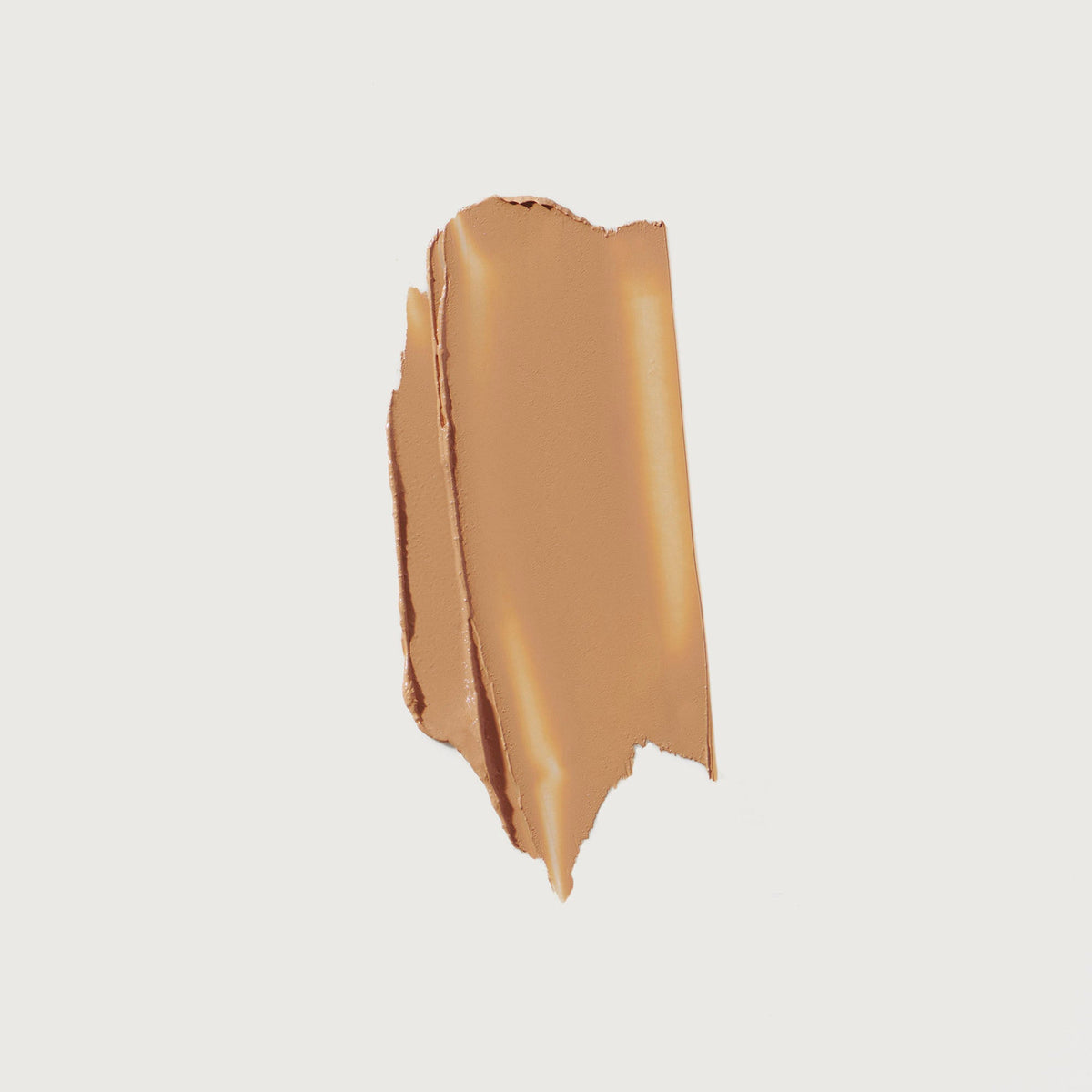 The Minimalist Perfecting Complexion Foundation and Concealer Stick NudeFace Chile
