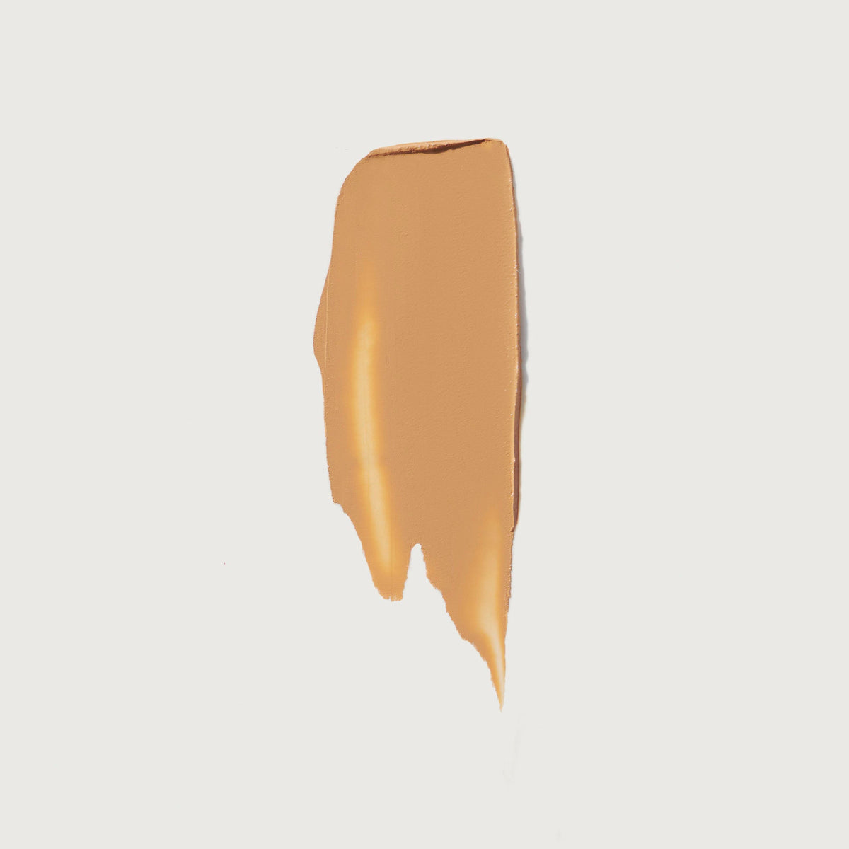 The Minimalist Perfecting Complexion Foundation and Concealer Stick NudeFace Chile