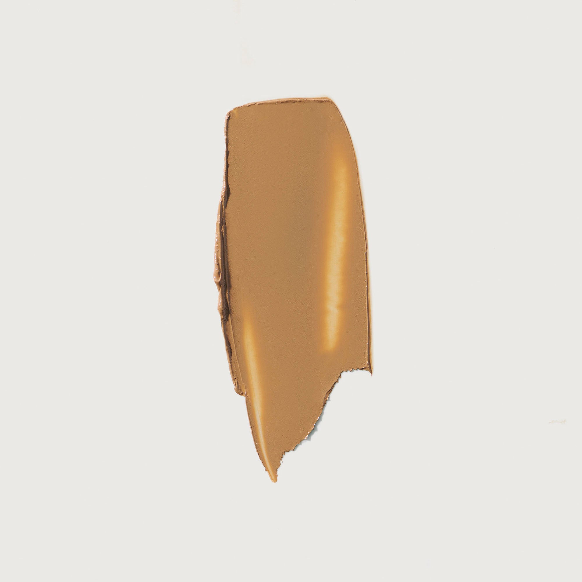 The Minimalist Perfecting Complexion Foundation and Concealer Stick NudeFace Chile