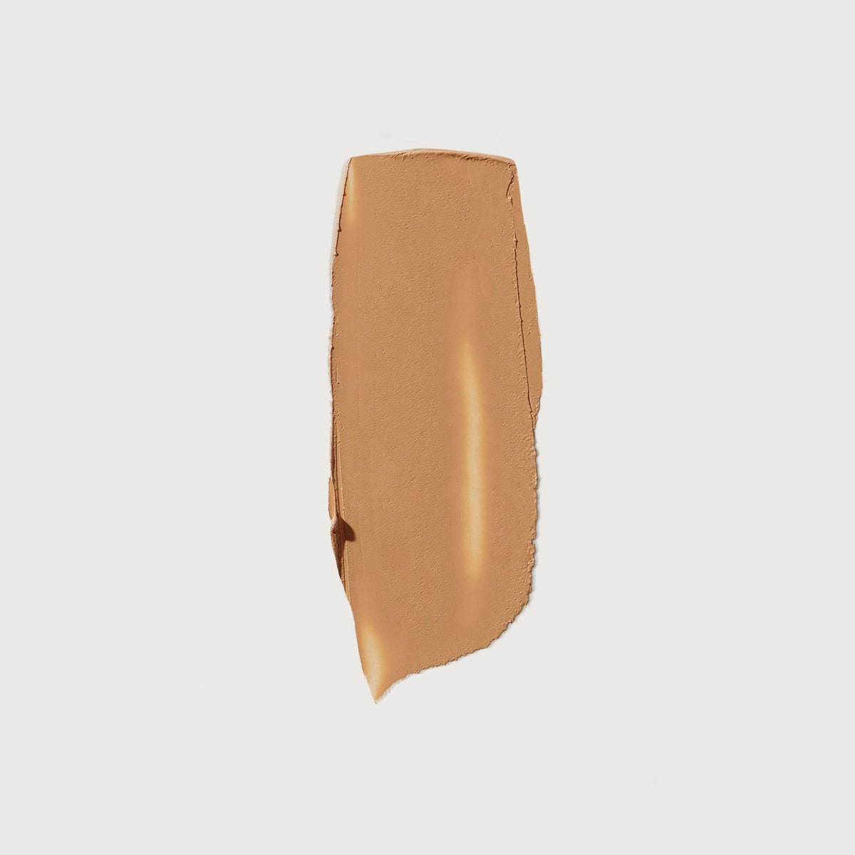 The Minimalist Perfecting Complexion Foundation and Concealer Stick NudeFace Chile