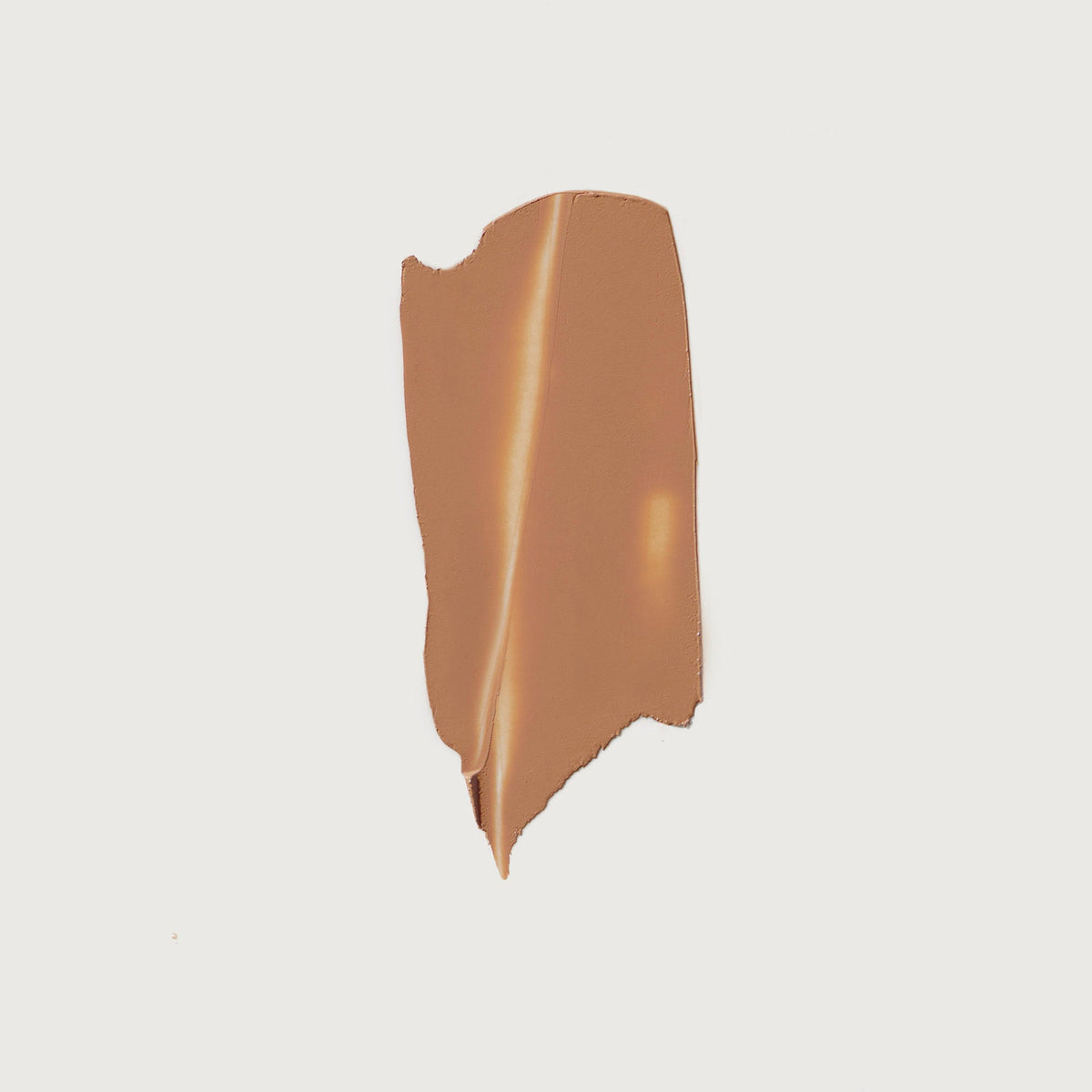The Minimalist Perfecting Complexion Foundation and Concealer Stick NudeFace Chile