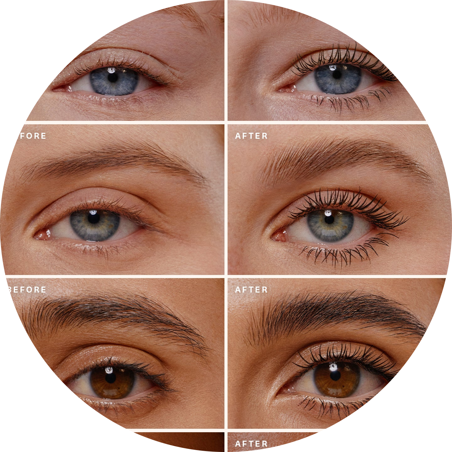 Lash & Brow Essentials Set