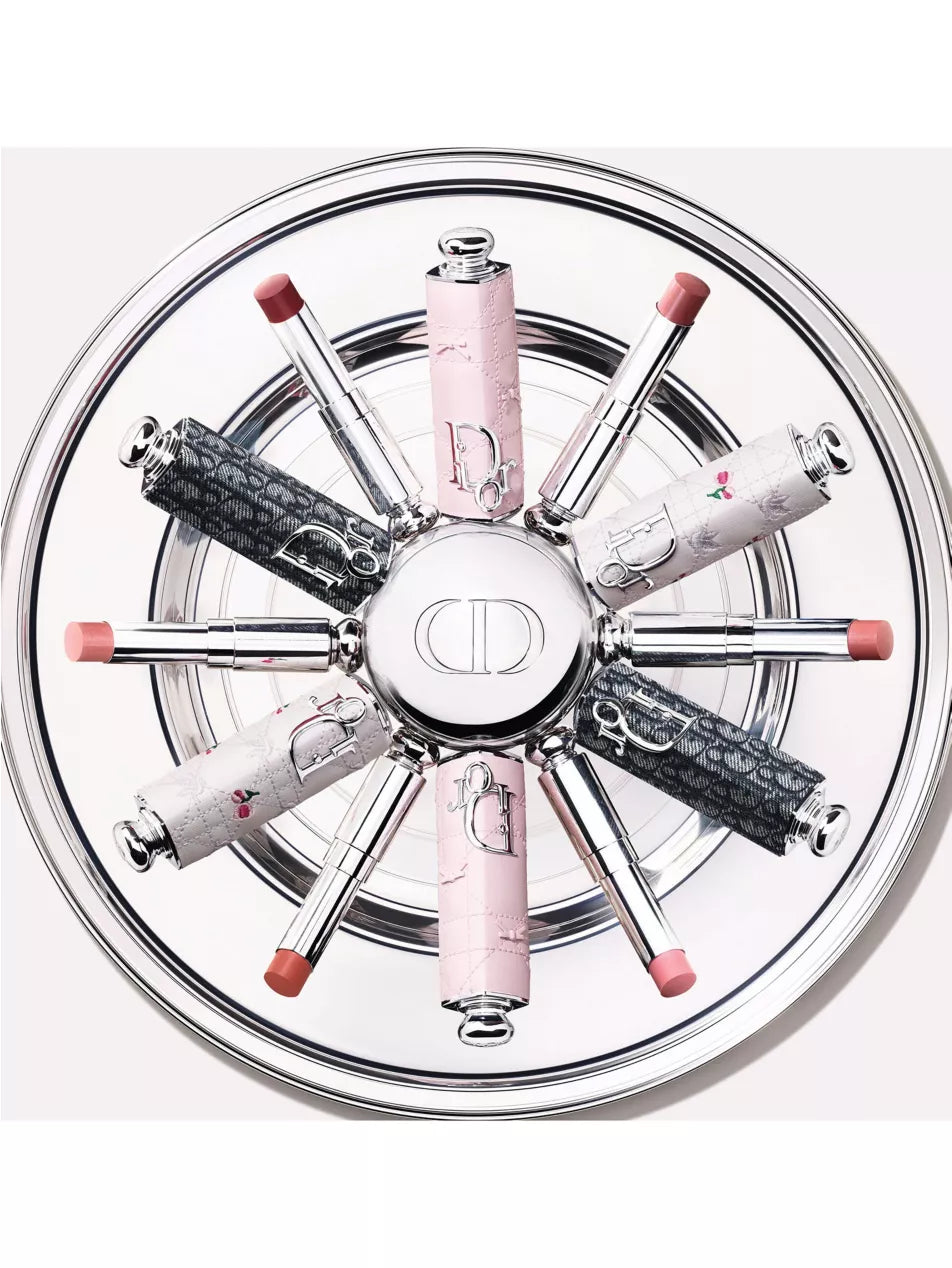 Dior Addict Case Limited Edition Refillable Case NudeFace Chile