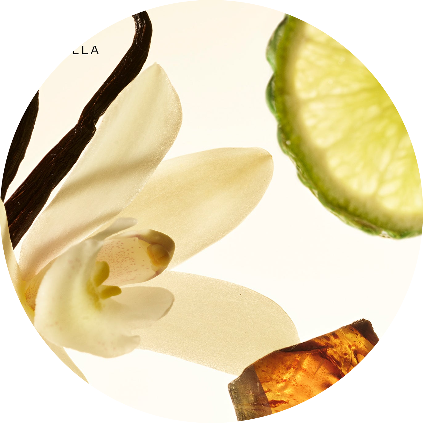Fragrance Layering Balm - Amber Vanilla