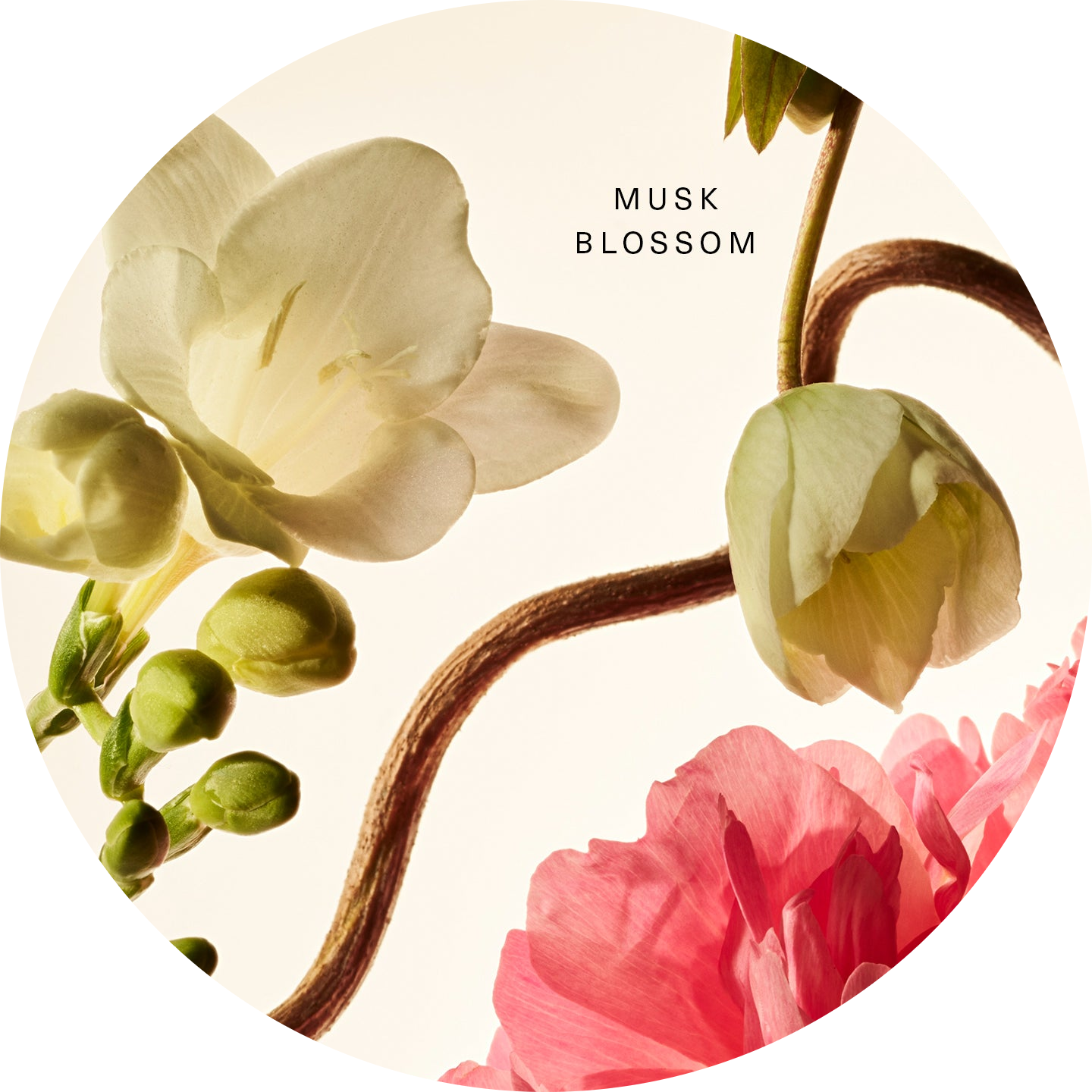 Fragrance Layering Balm - Floral Peony Blossom