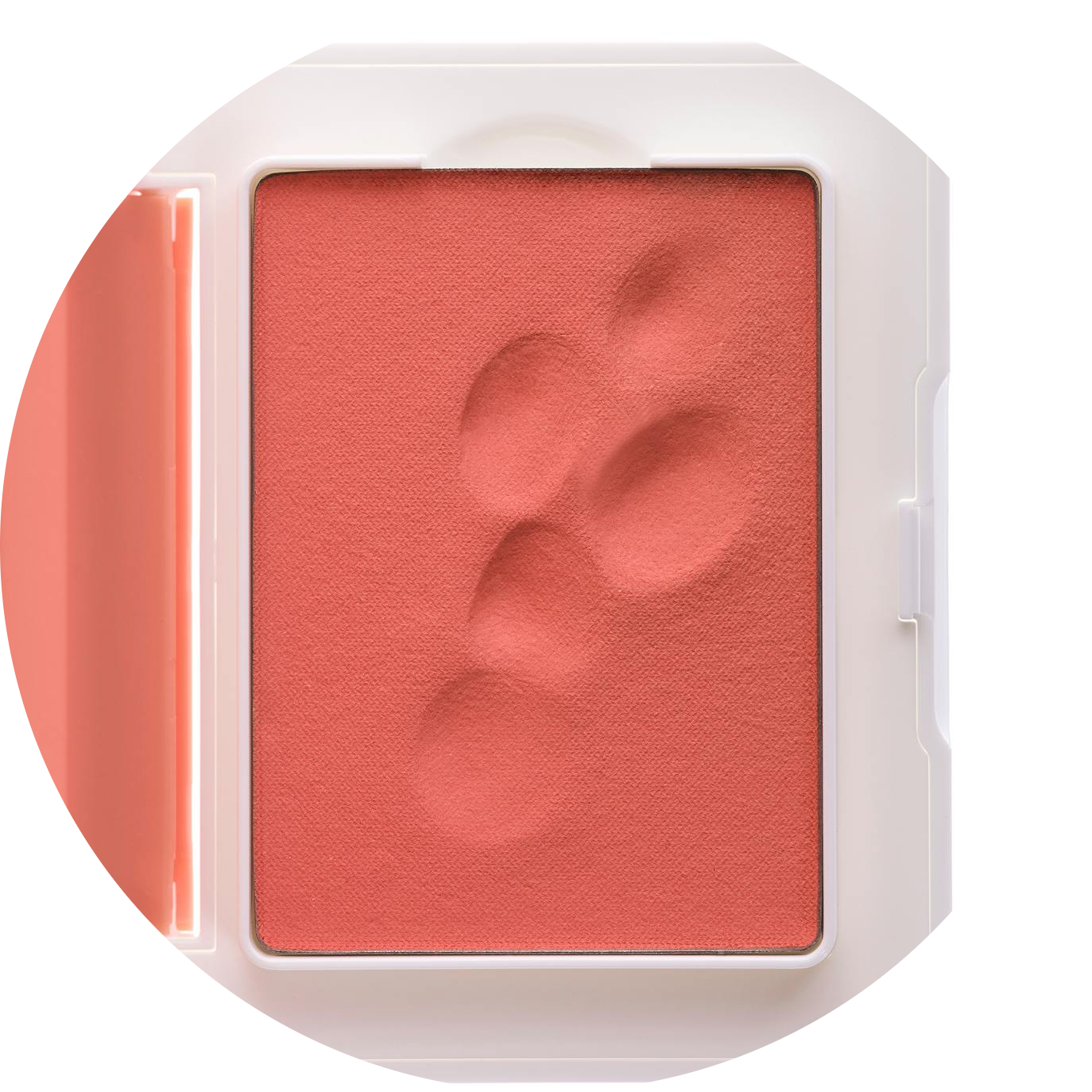 Cloud Paint Plush Blush