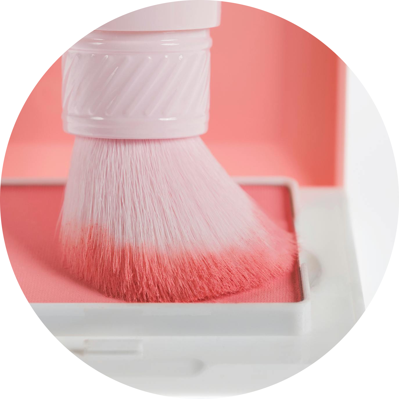 Cloud Paint Plush Blush