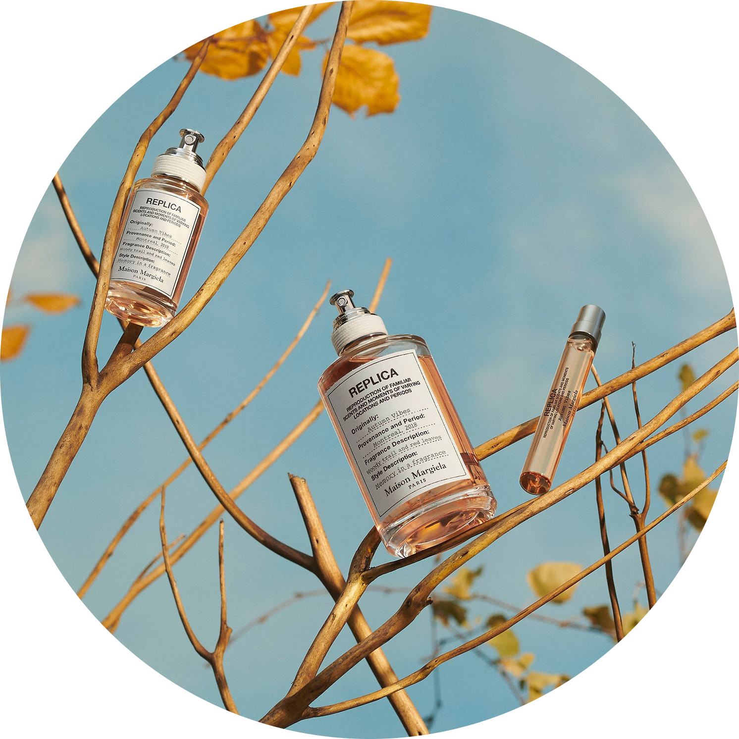 Autumn Vibes Eau de Toilette