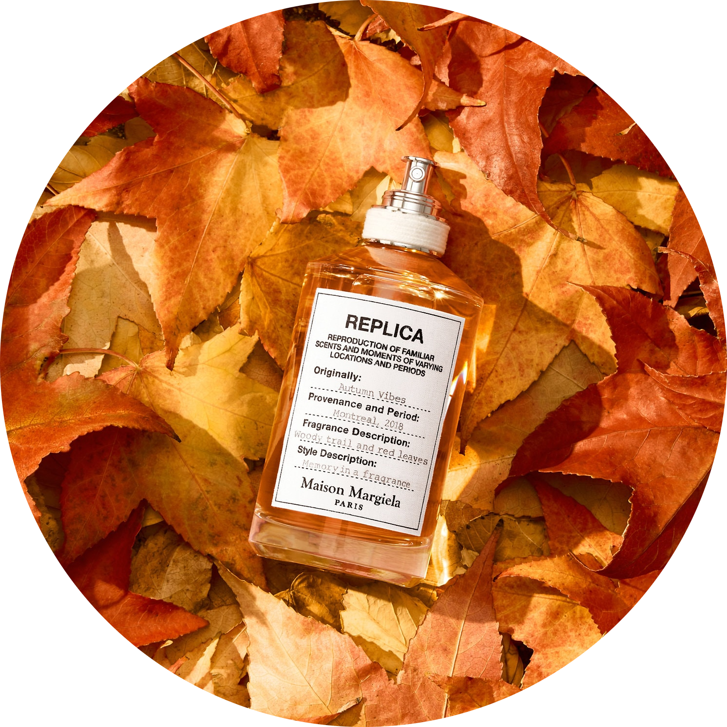 Autumn Vibes Eau de Toilette