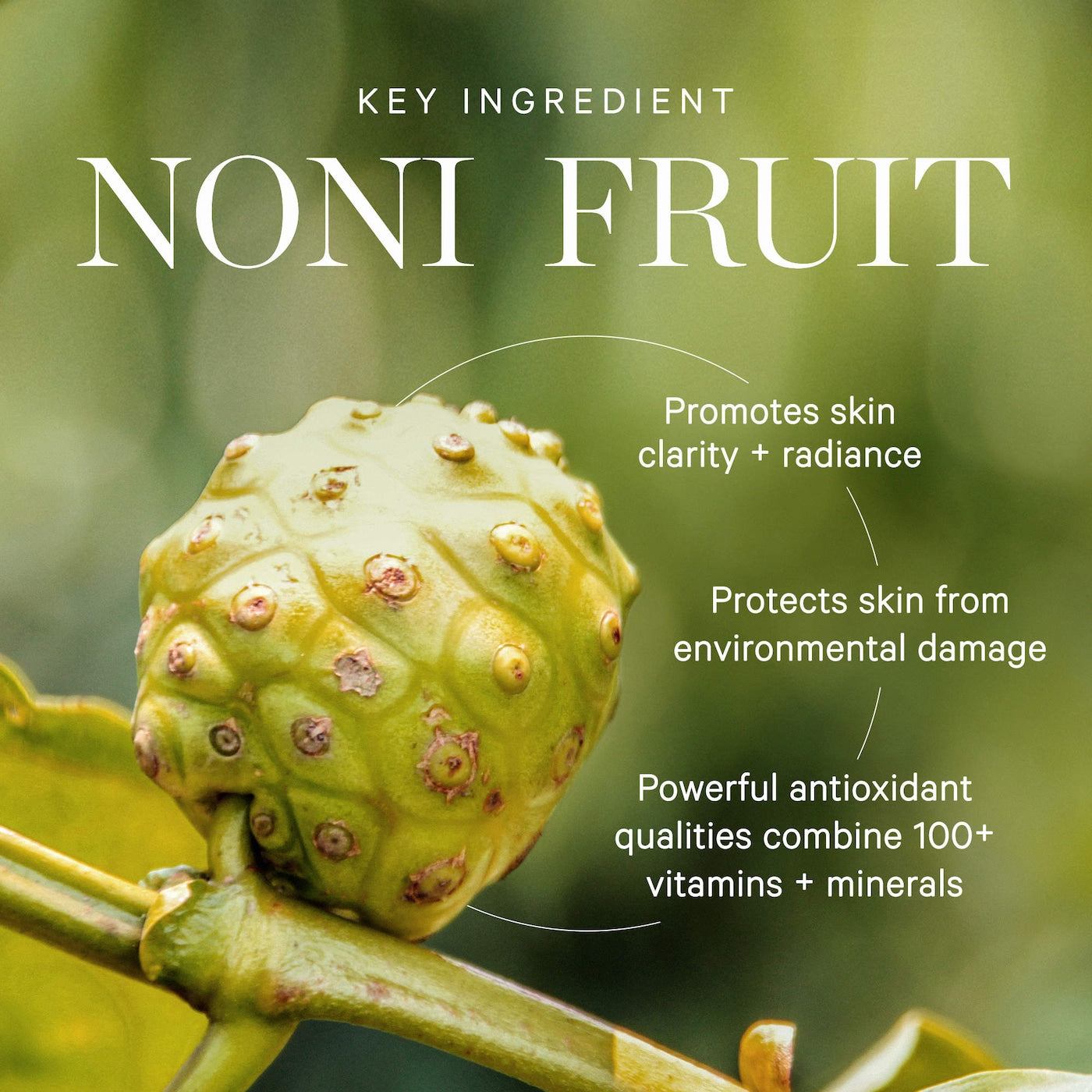 Noni Glow Radiant Eye Oil