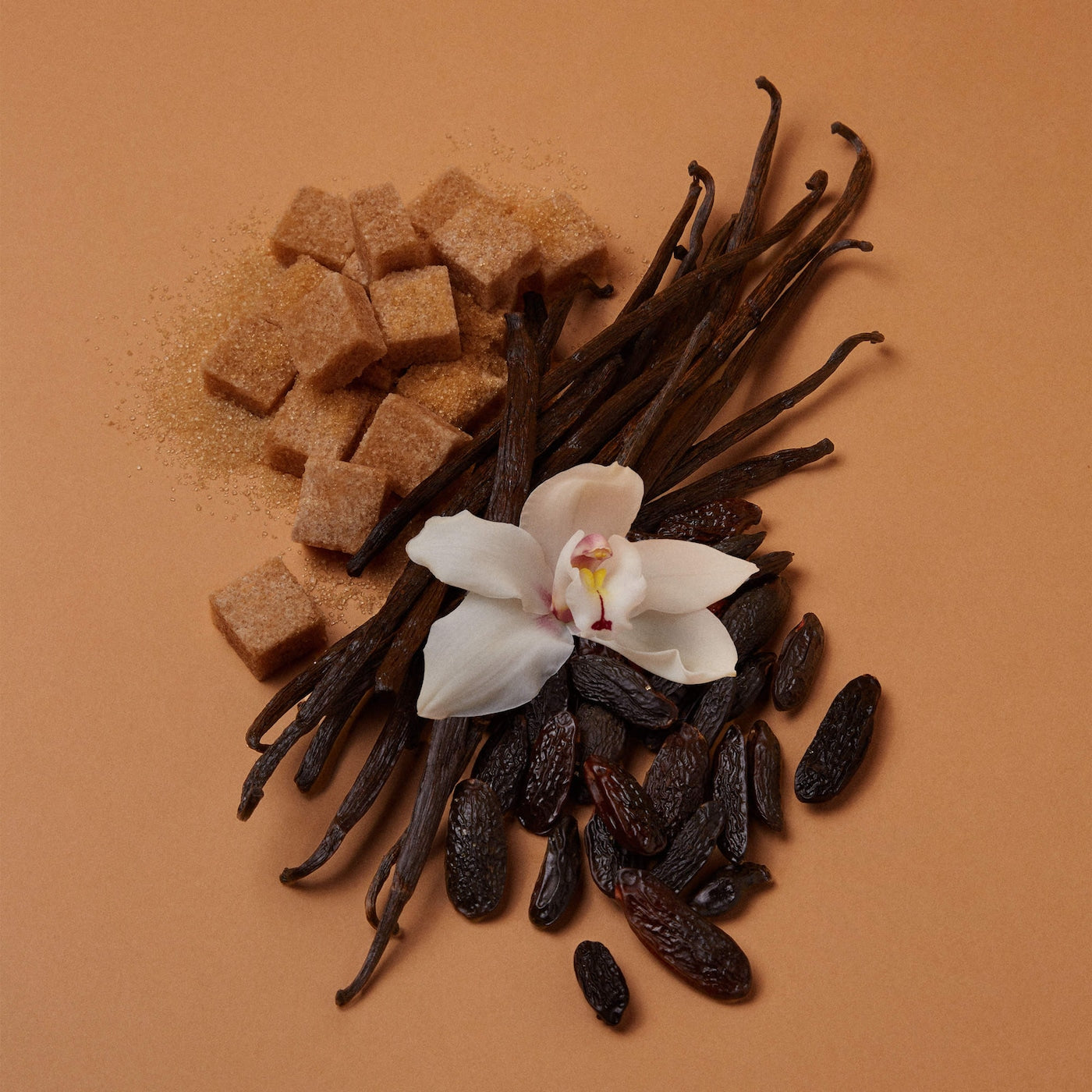 VANILLA | 28 Eau de Parfum