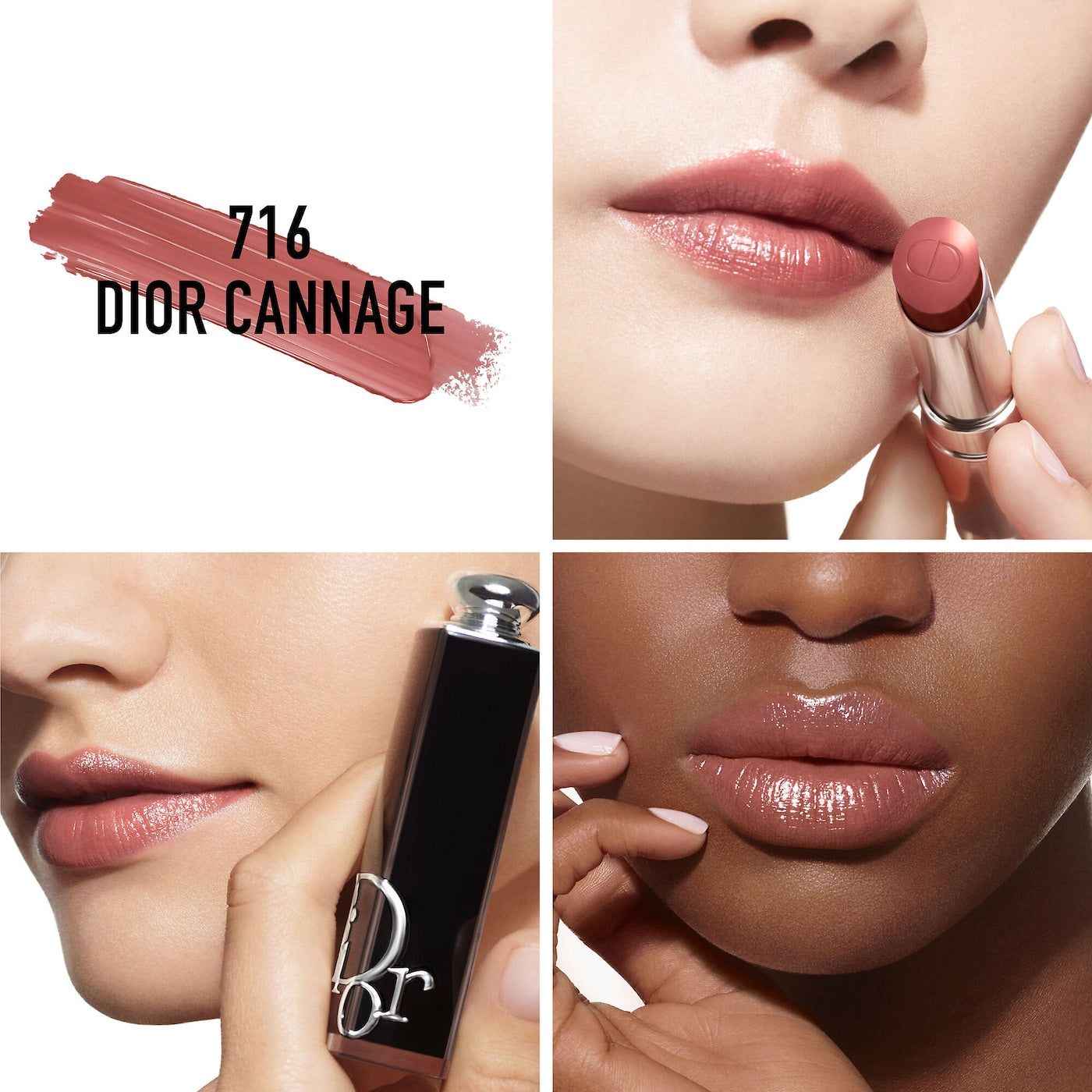 Dior Addict Shine Lipstick NudeFace Chile