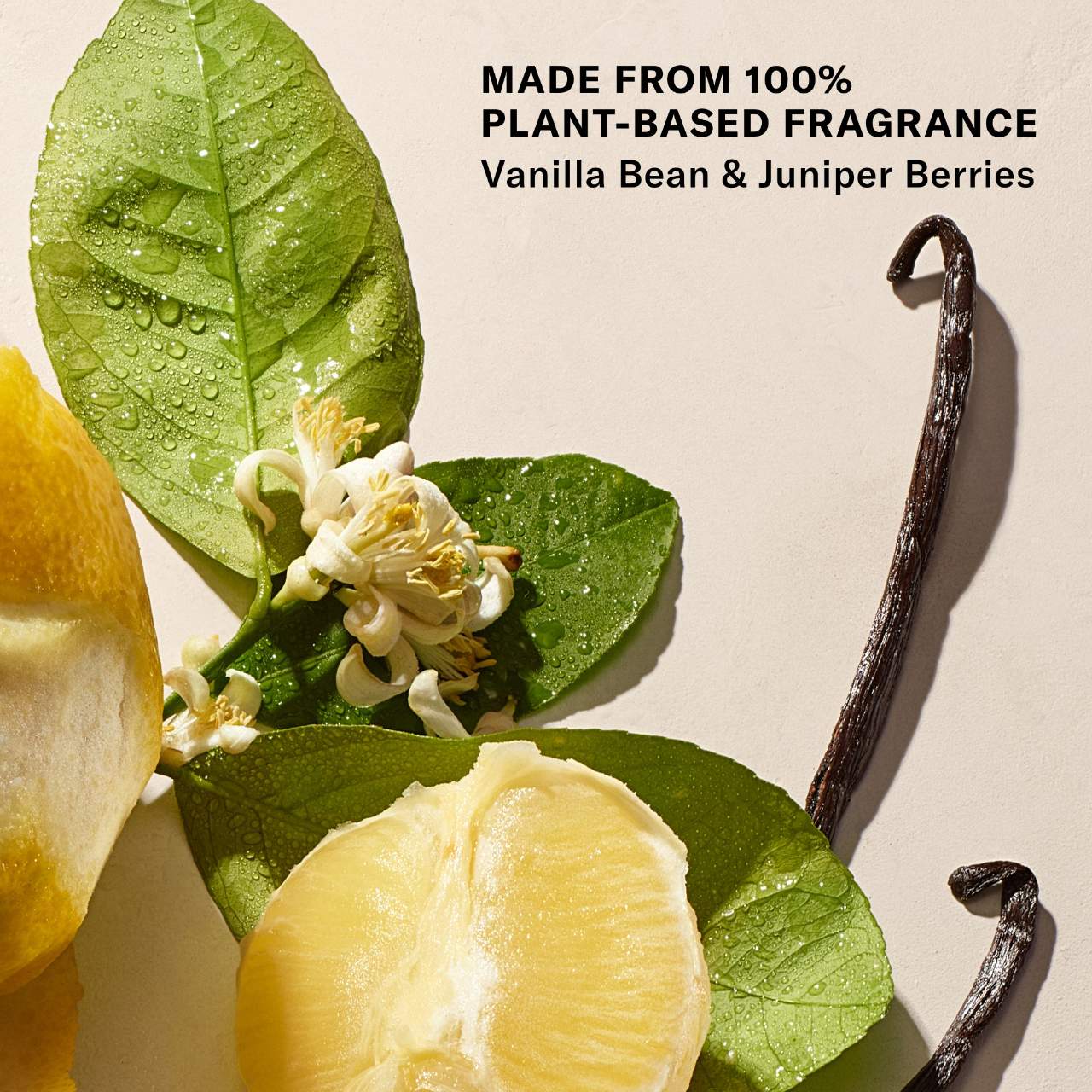 Mini Vanilla Vibezzz - Whipped Firming Body Butter NudeFace Chile