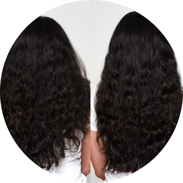 Halo Shine Hair Oil