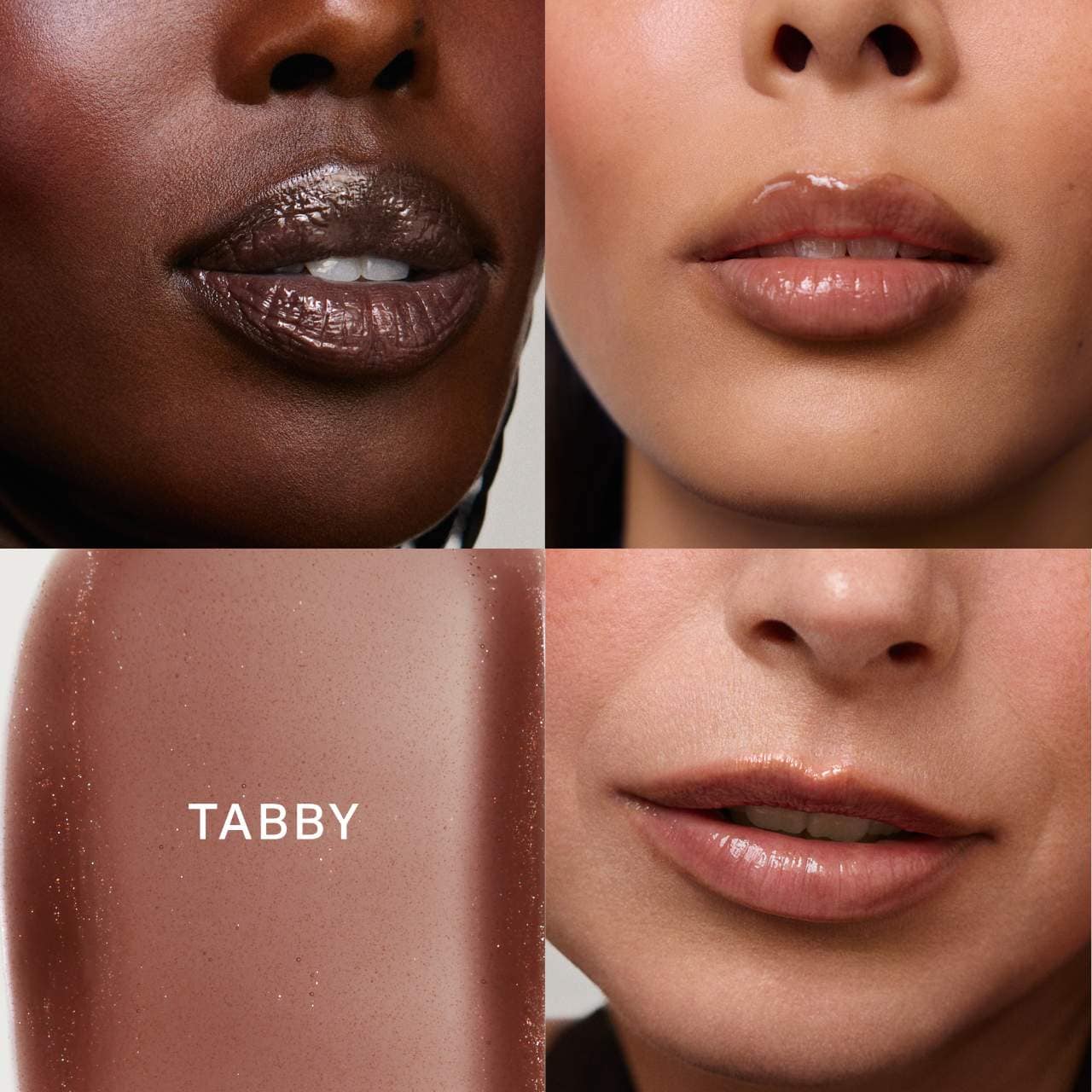 Shade Slick Hydrating Tinted Lip Oil NudeFace Chile
