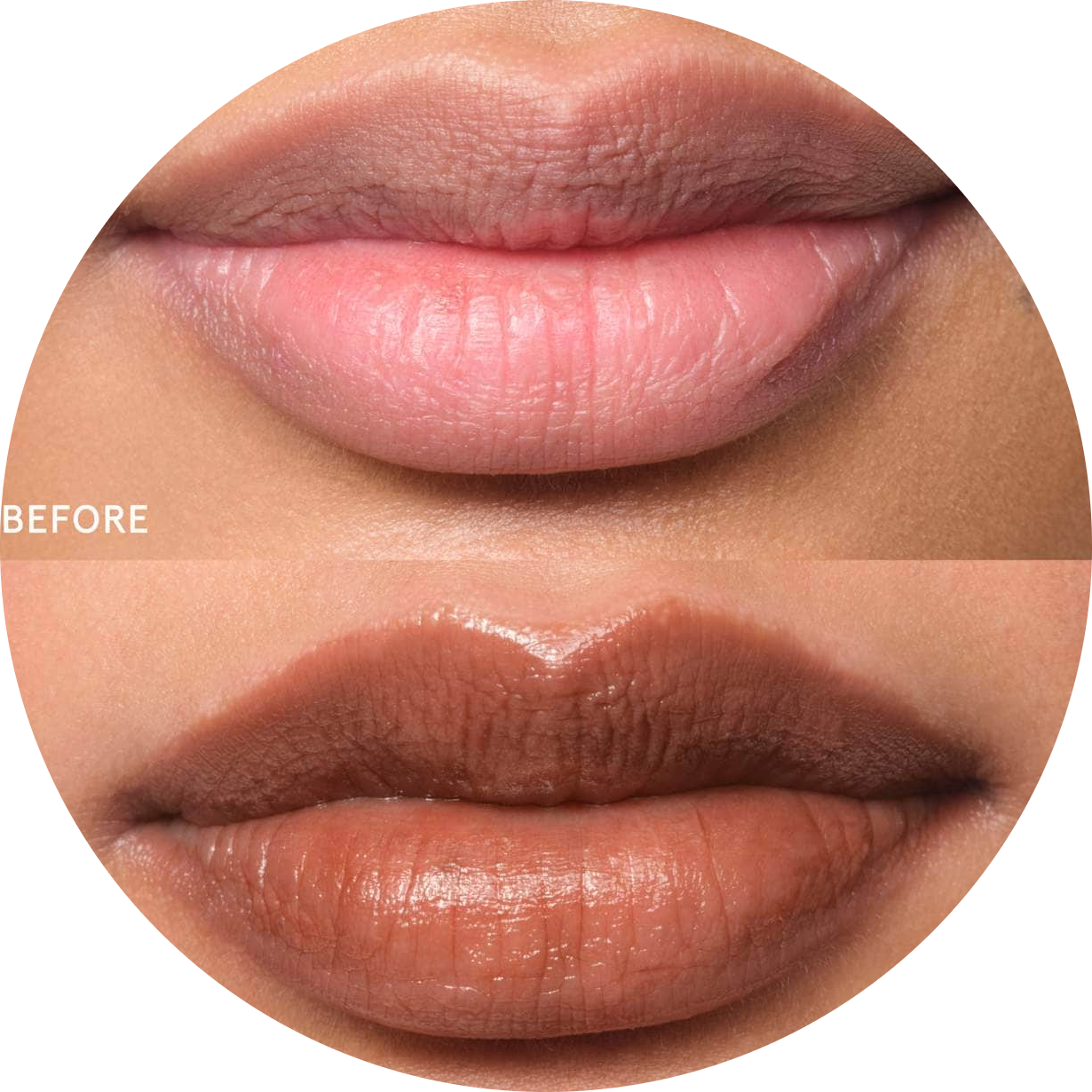 Balm Dotcom