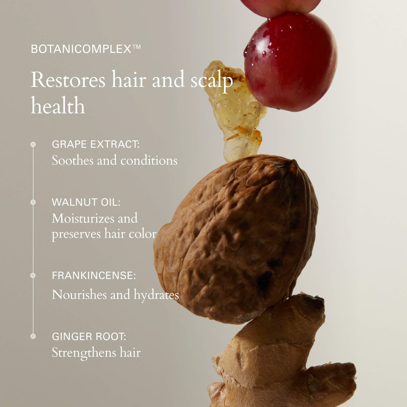 Mini Foundation Hydrating Conditioner