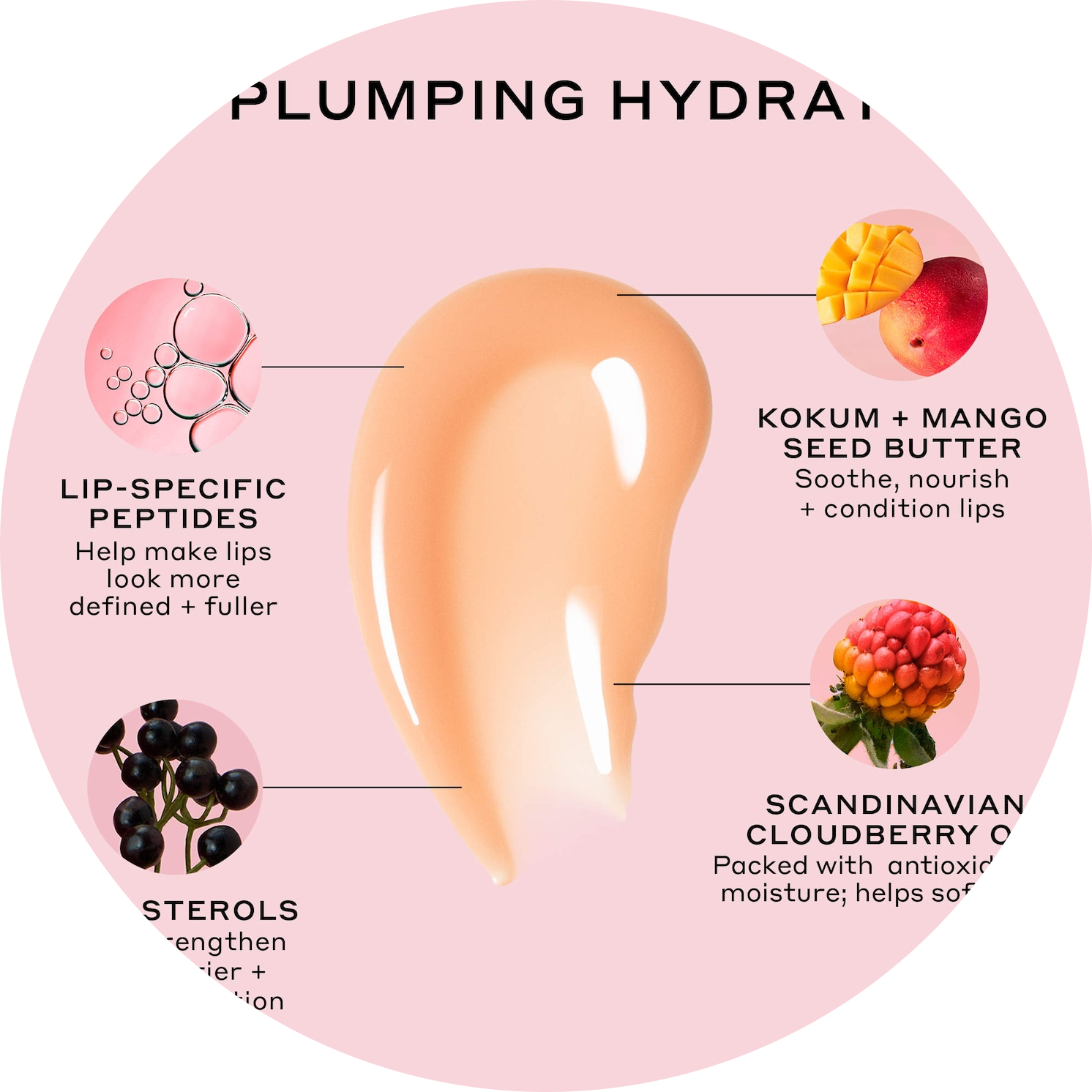 Pout Preserve Hydrating Peptide Lip Treatment