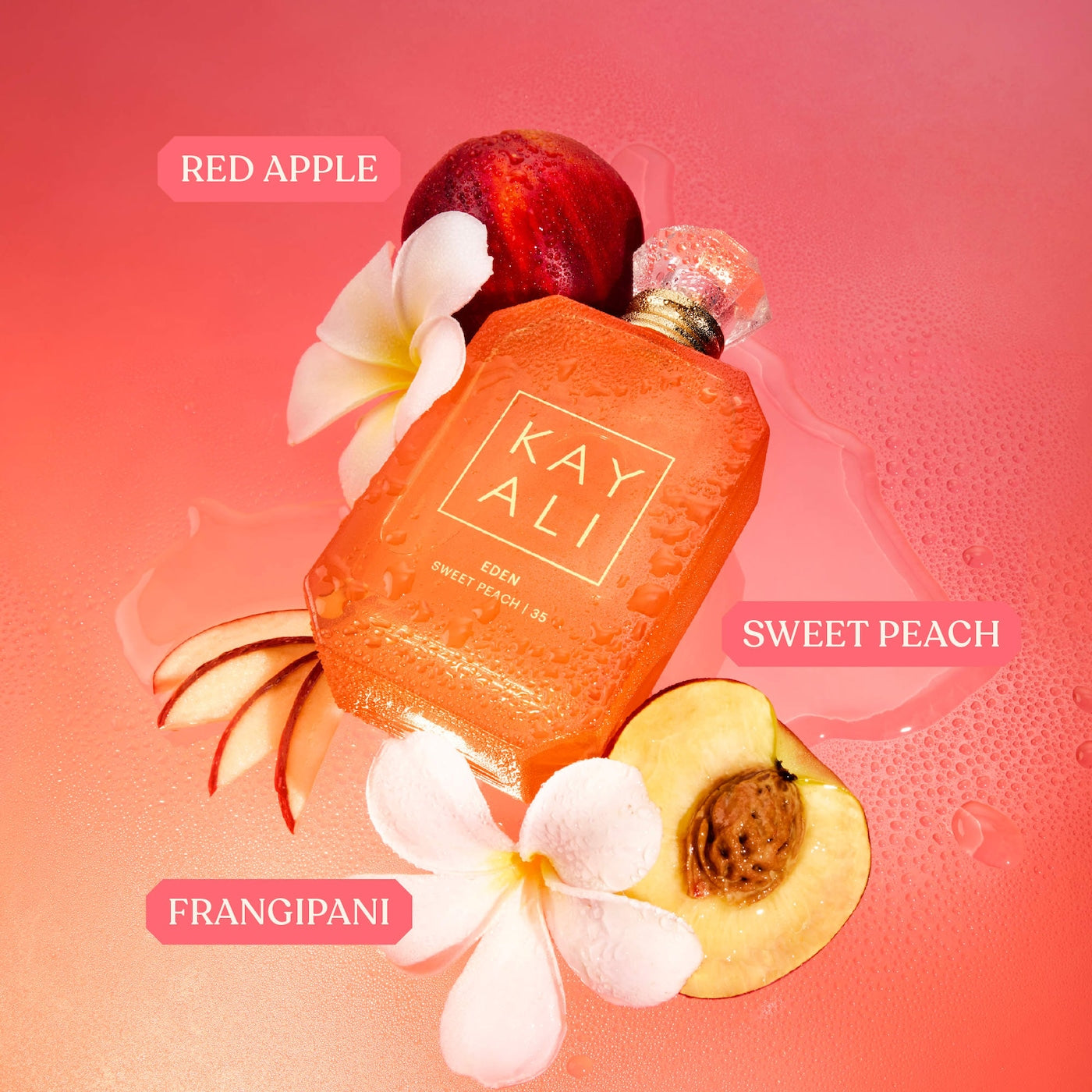 EDEN Mini Set