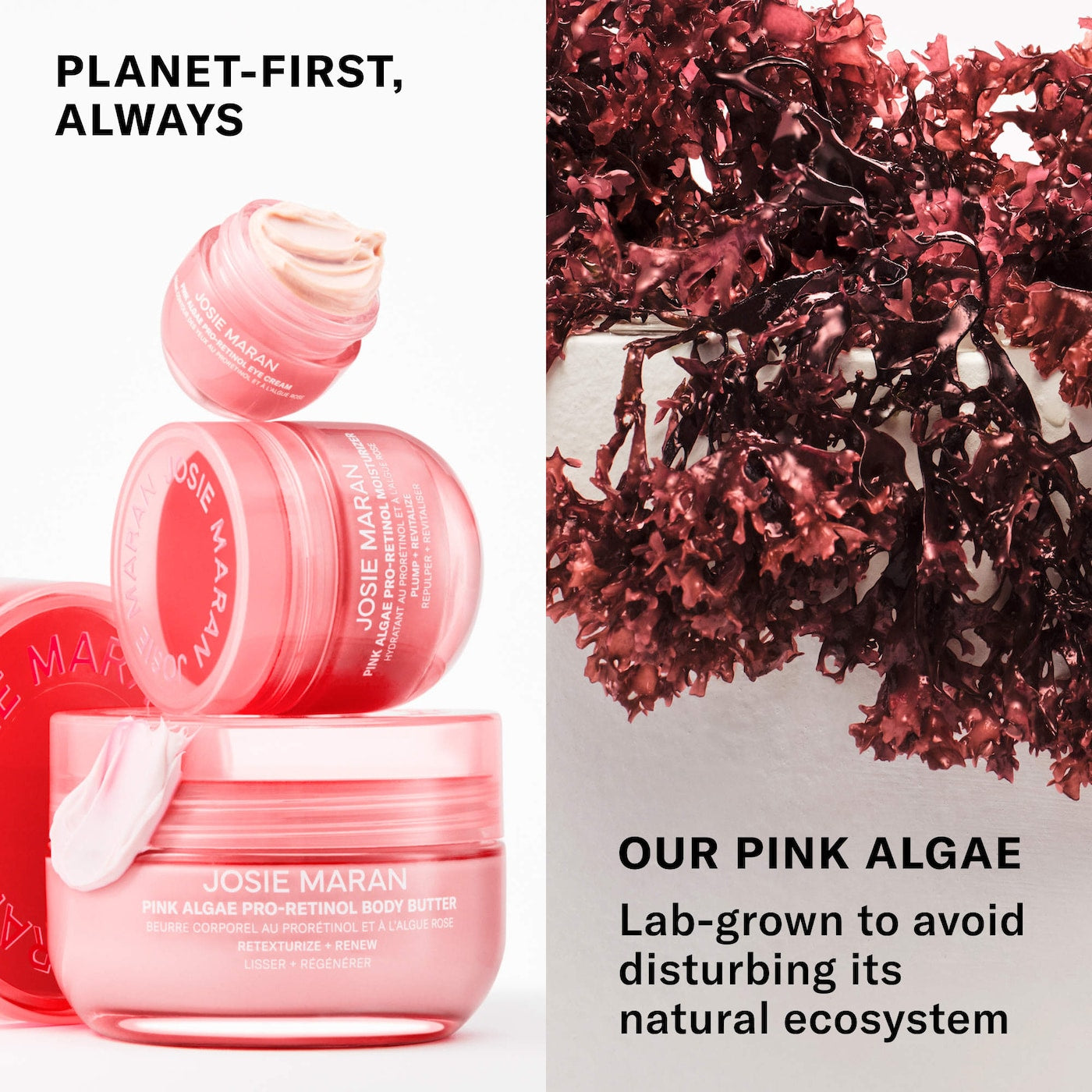 Pink Algae Pro-Retinol Body Butter NudeFace Chile